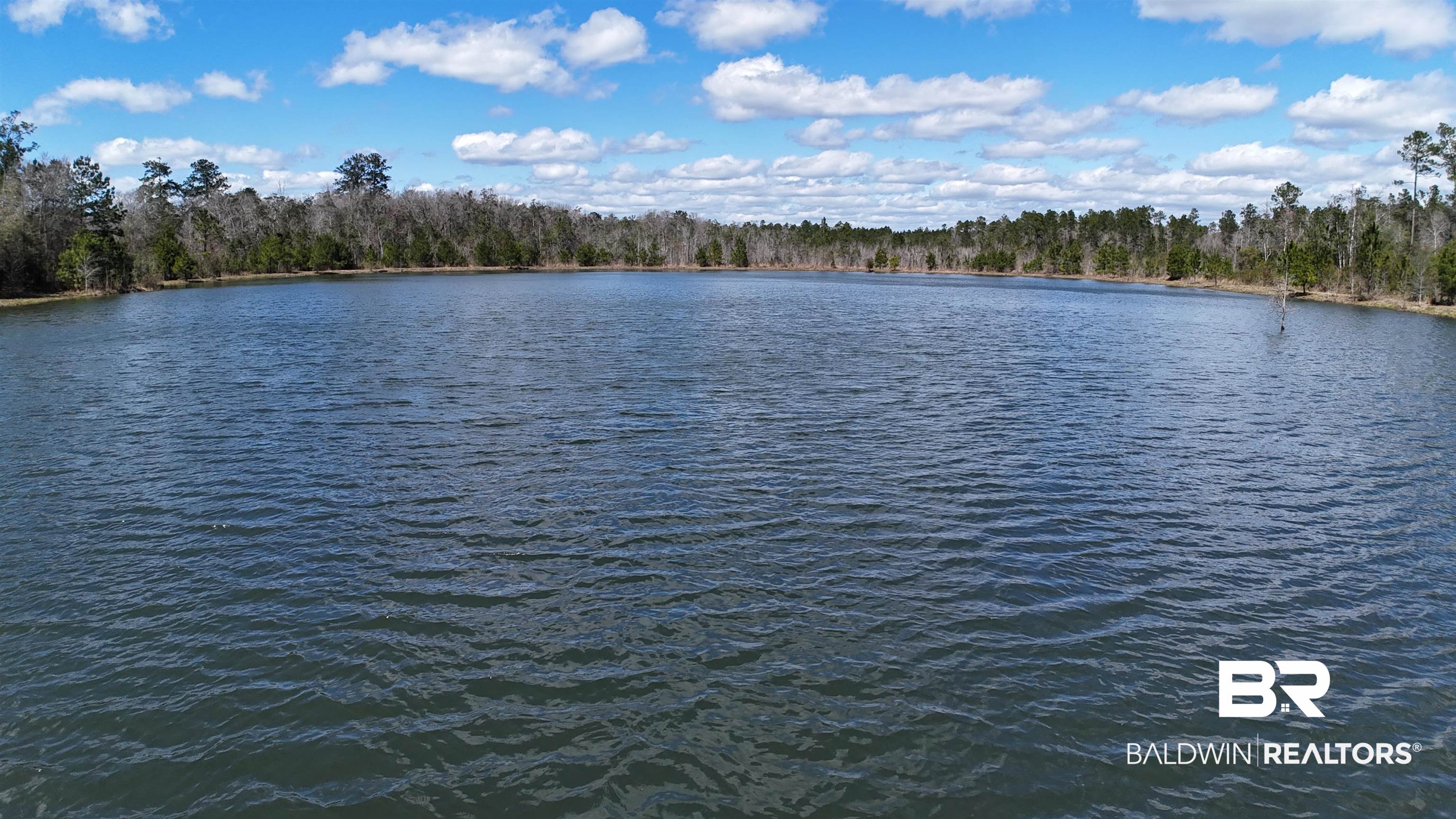 11808 Abb Road Tibbie, AL 36583 - Photo 6 of 31 Property view of water with a wooded view