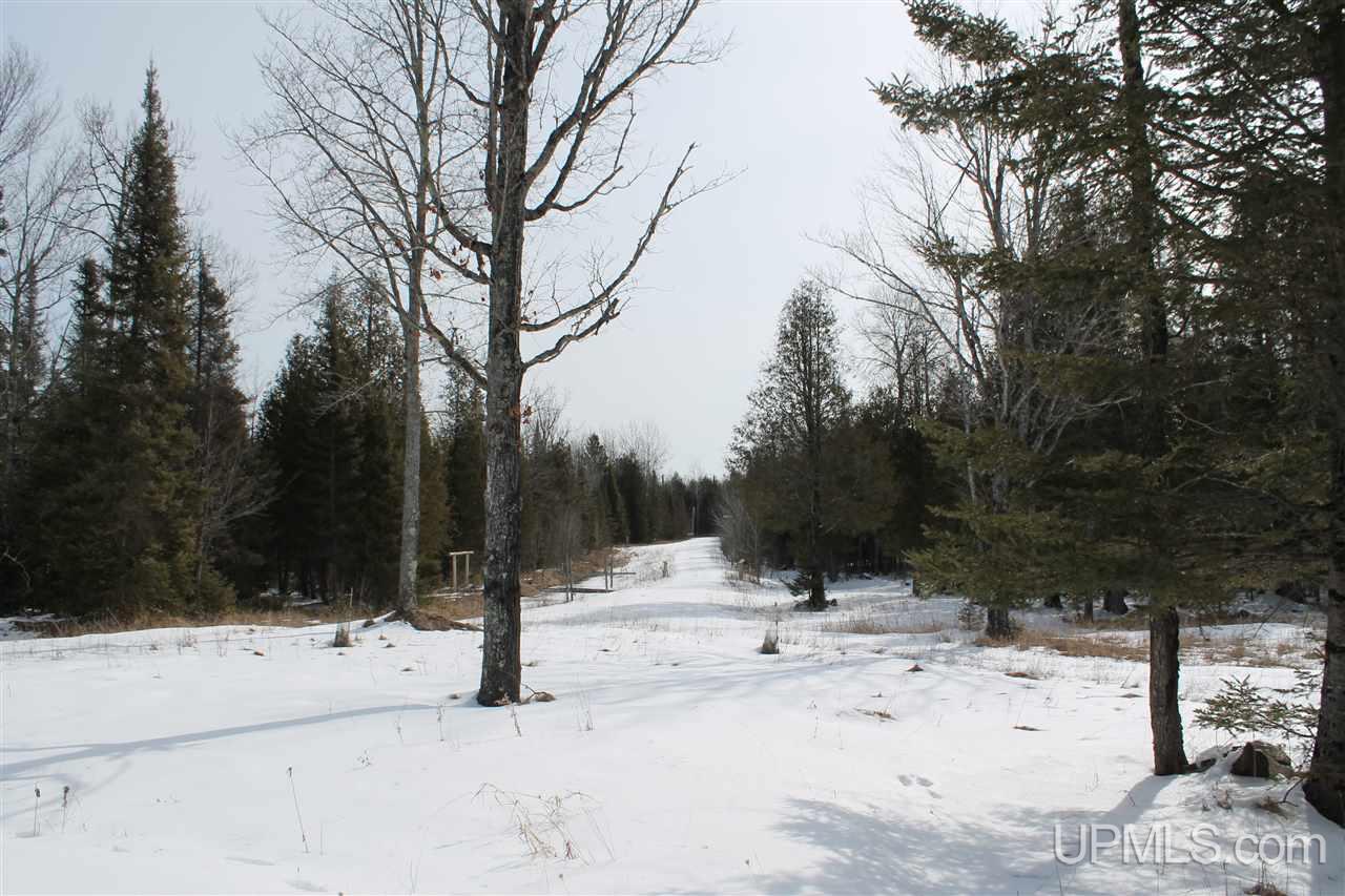 3315 Co Road Cornell, MI 49818 - Photo 45 of 50