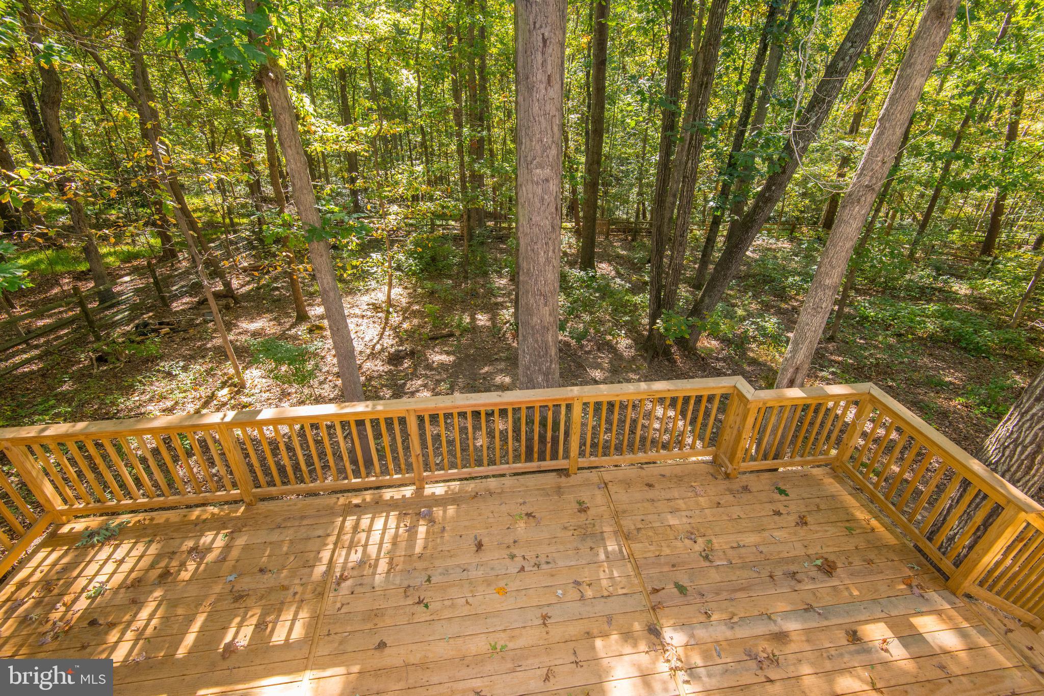 10809 Cross School Road Reston, VA 20191 - Photo 6 of 49