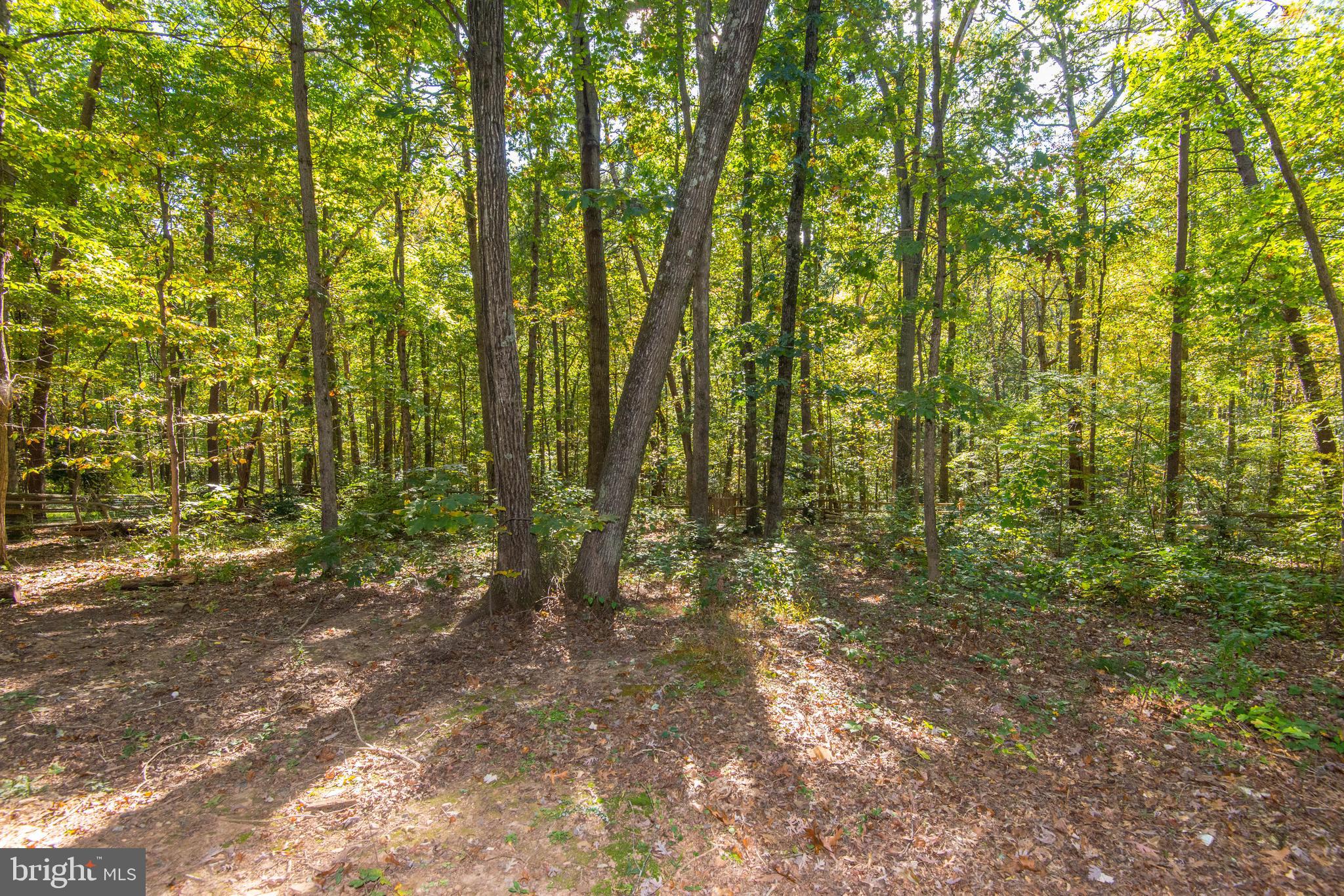 10809 Cross School Road Reston, VA 20191 - Photo 8 of 49