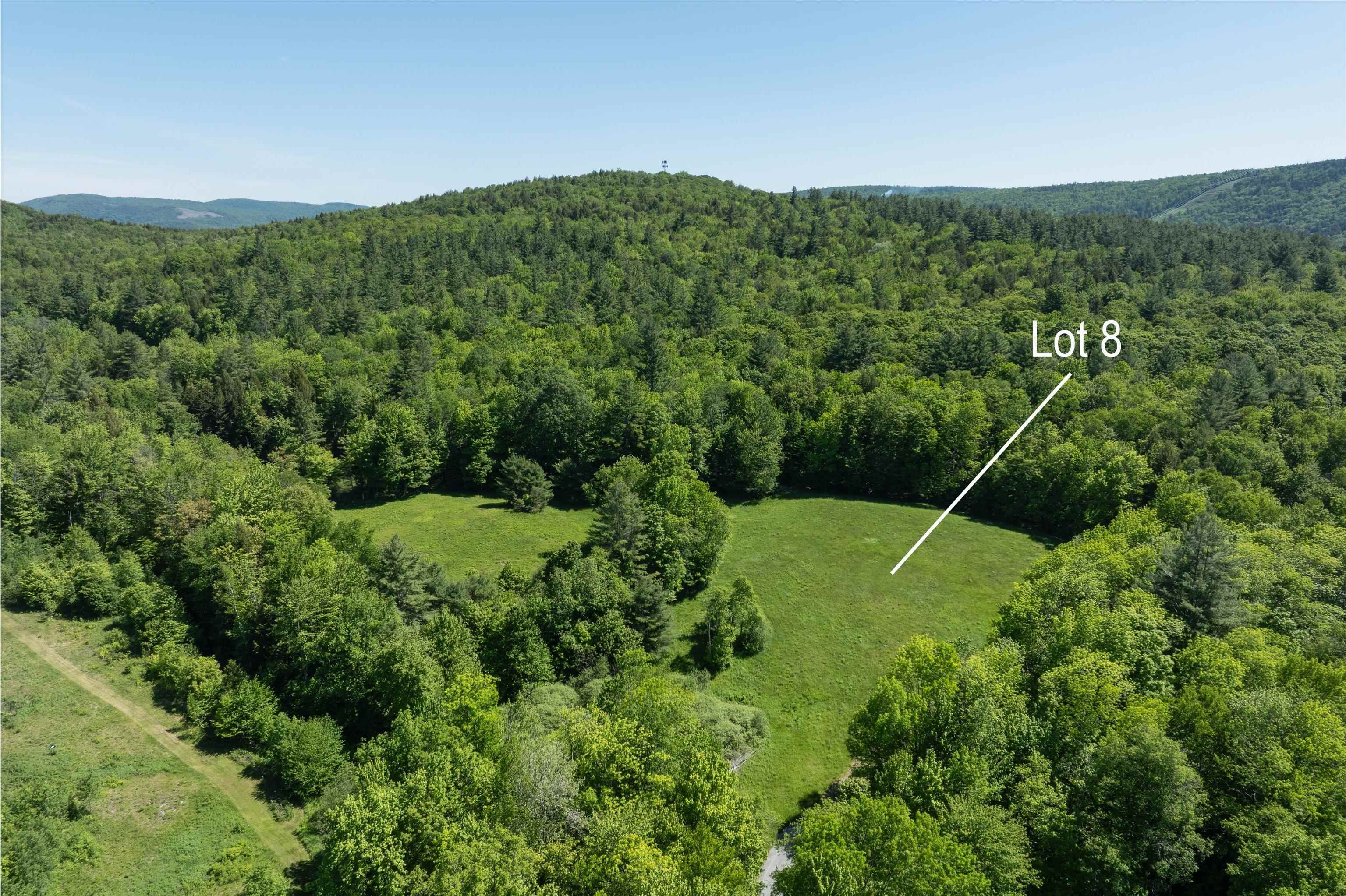 0 Rod And Gun Club Road, Unit 8 Ludlow, VT 05149 - Photo 2 of 27