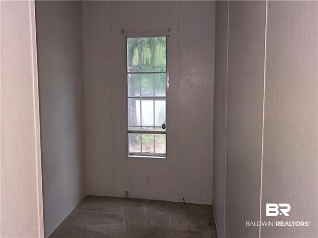 15296 Celeste Road Chunchula, AL 36521 - Photo 2 of 8 View of carpeted spare room
