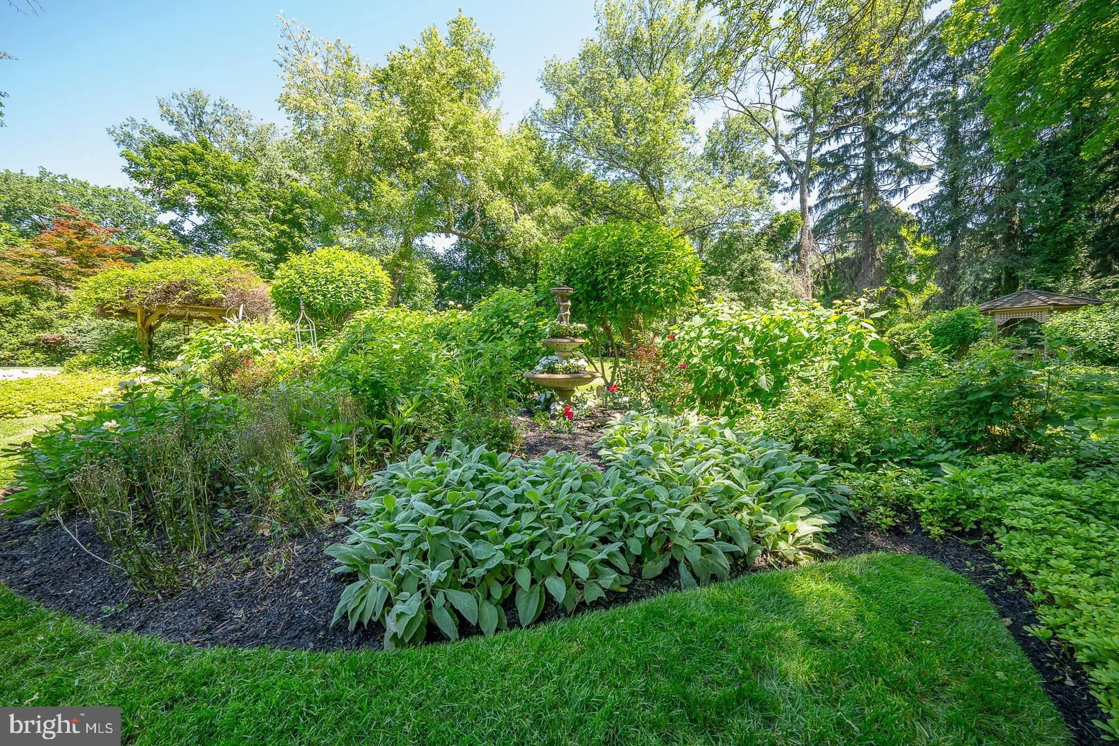 71 Tunbridge Road Haverford, PA 19041 - Photo 78 of 82 Amazing gardens