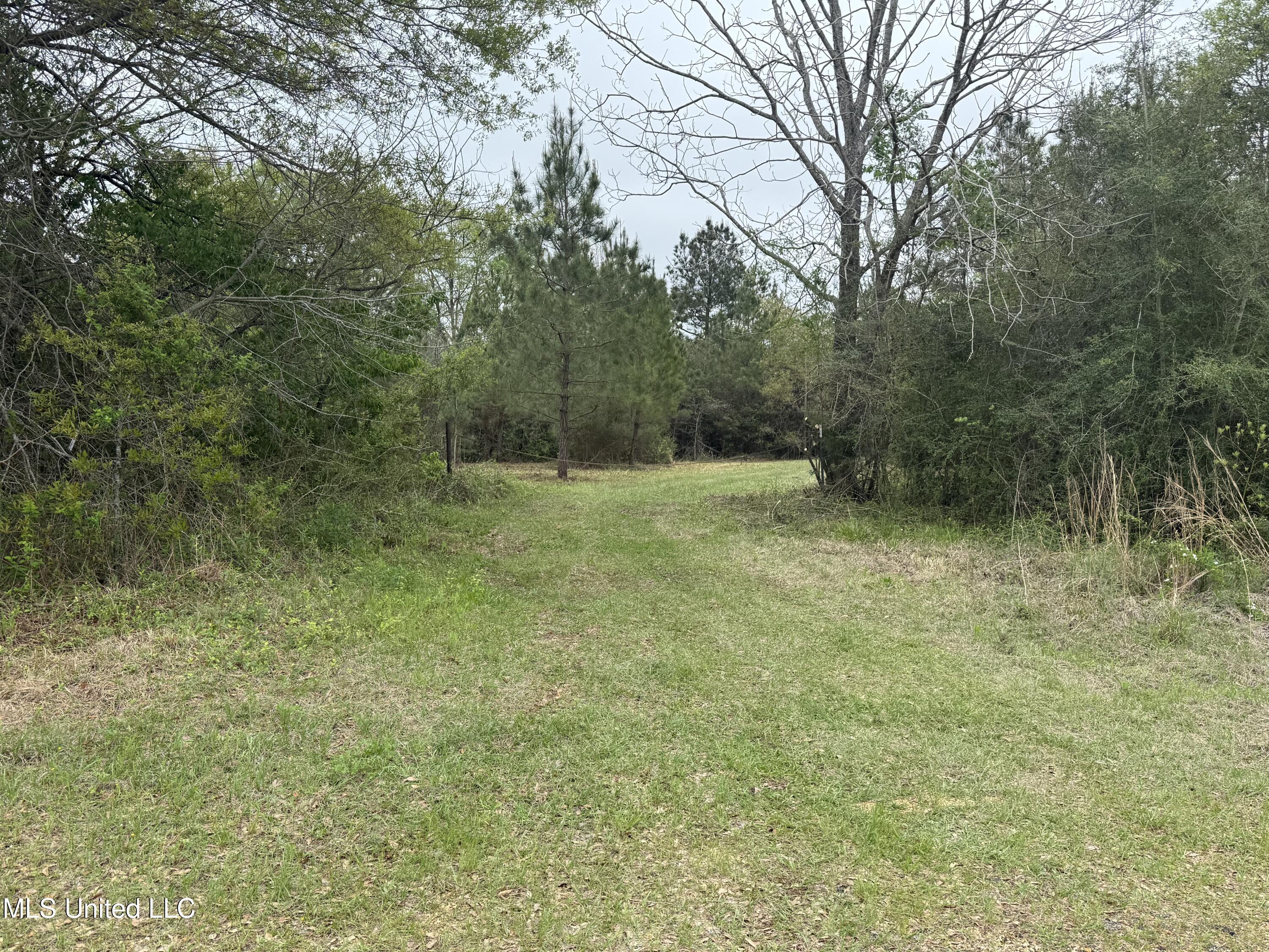 Beartown Road Jayess, MS 39641 - Photo 1 of 32 1.