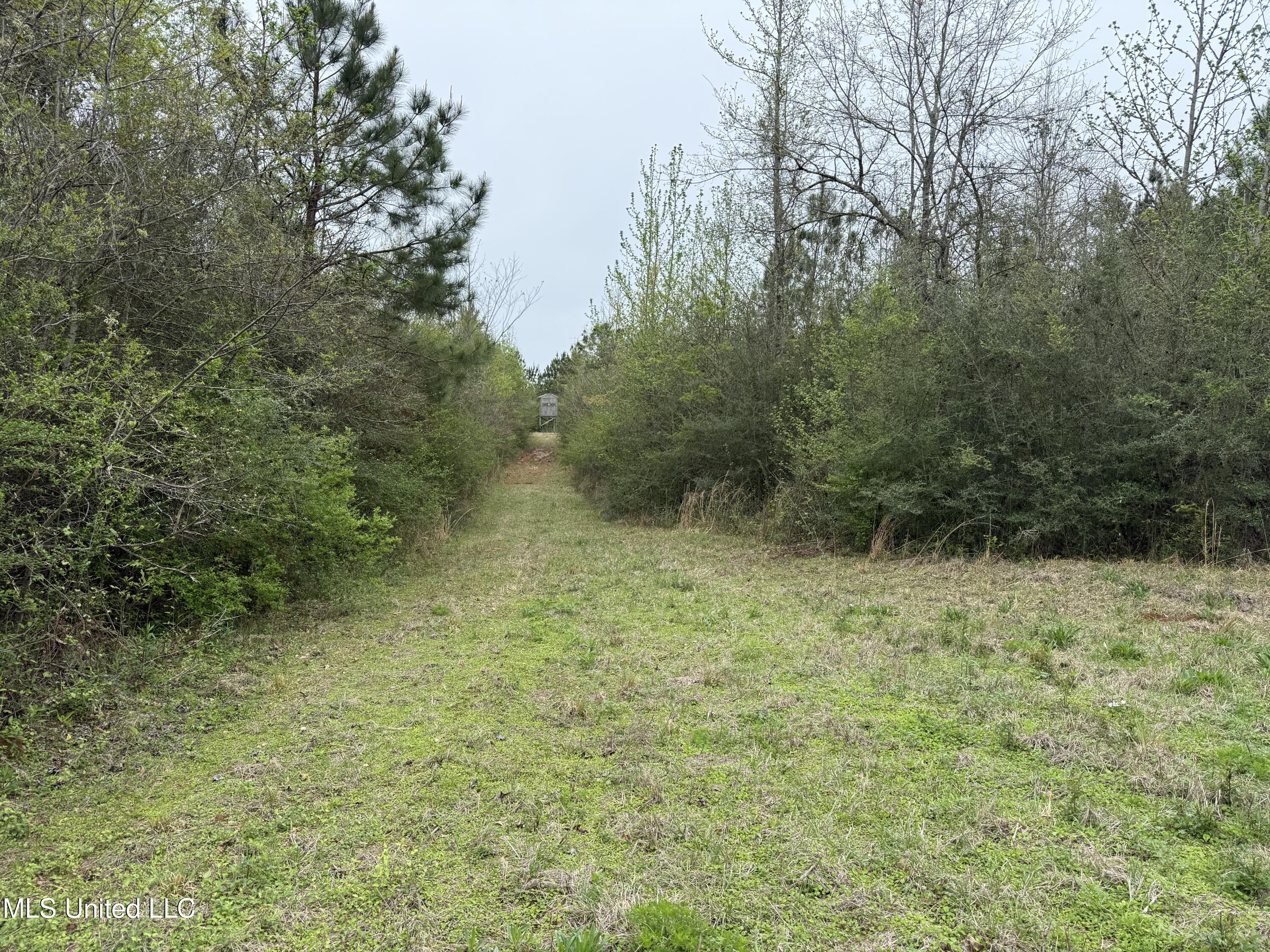 Beartown Road Jayess, MS 39641 - Photo 12 of 32 12.
