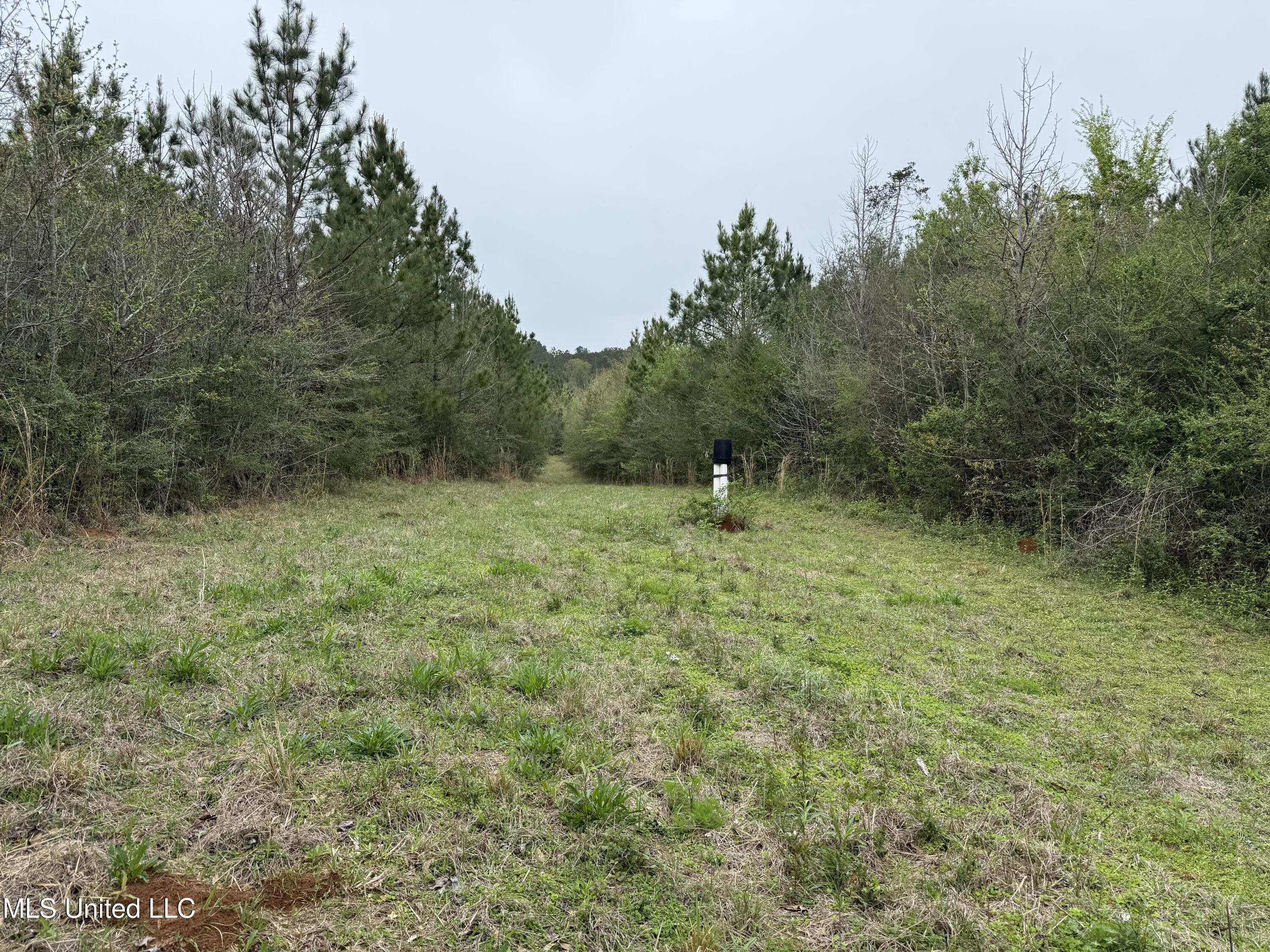 Beartown Road Jayess, MS 39641 - Photo 13 of 32 13.