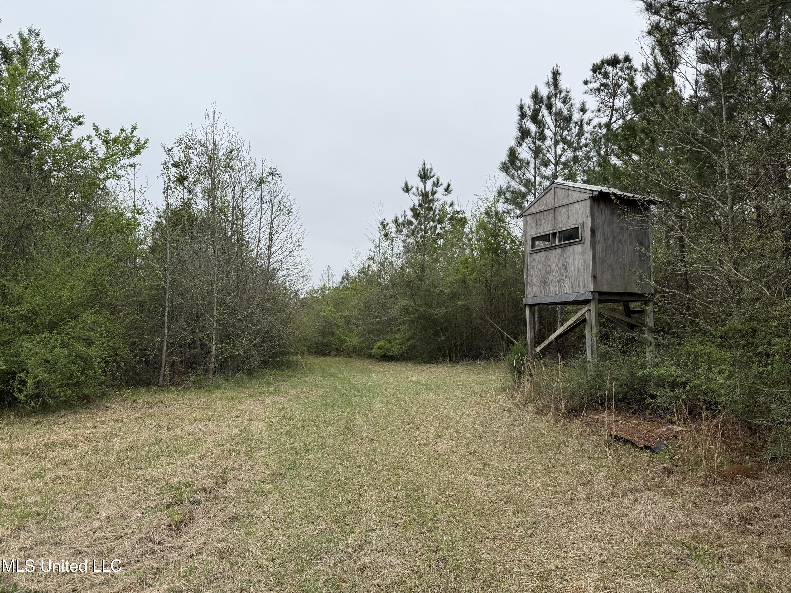 Beartown Road Jayess, MS 39641 - Photo 14 of 32 14.