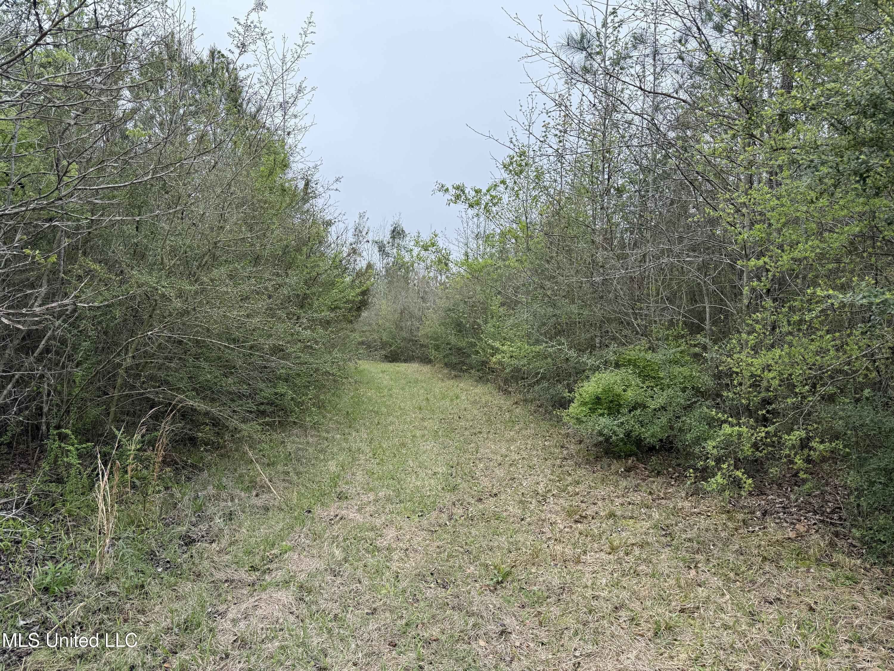 Beartown Road Jayess, MS 39641 - Photo 16 of 32 16.