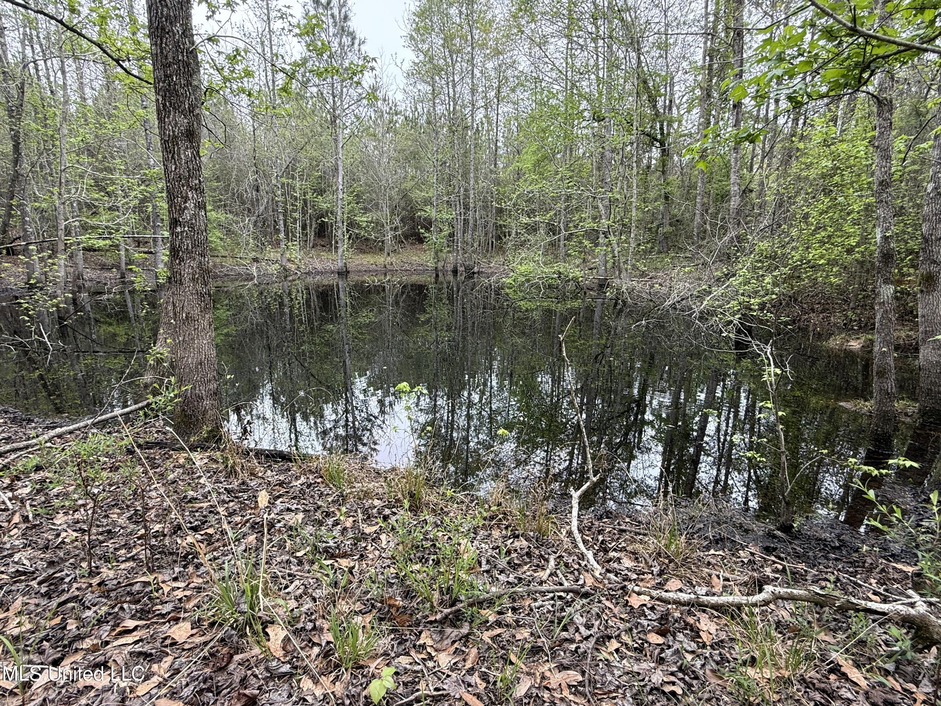 Beartown Road Jayess, MS 39641 - Photo 17 of 32 17.