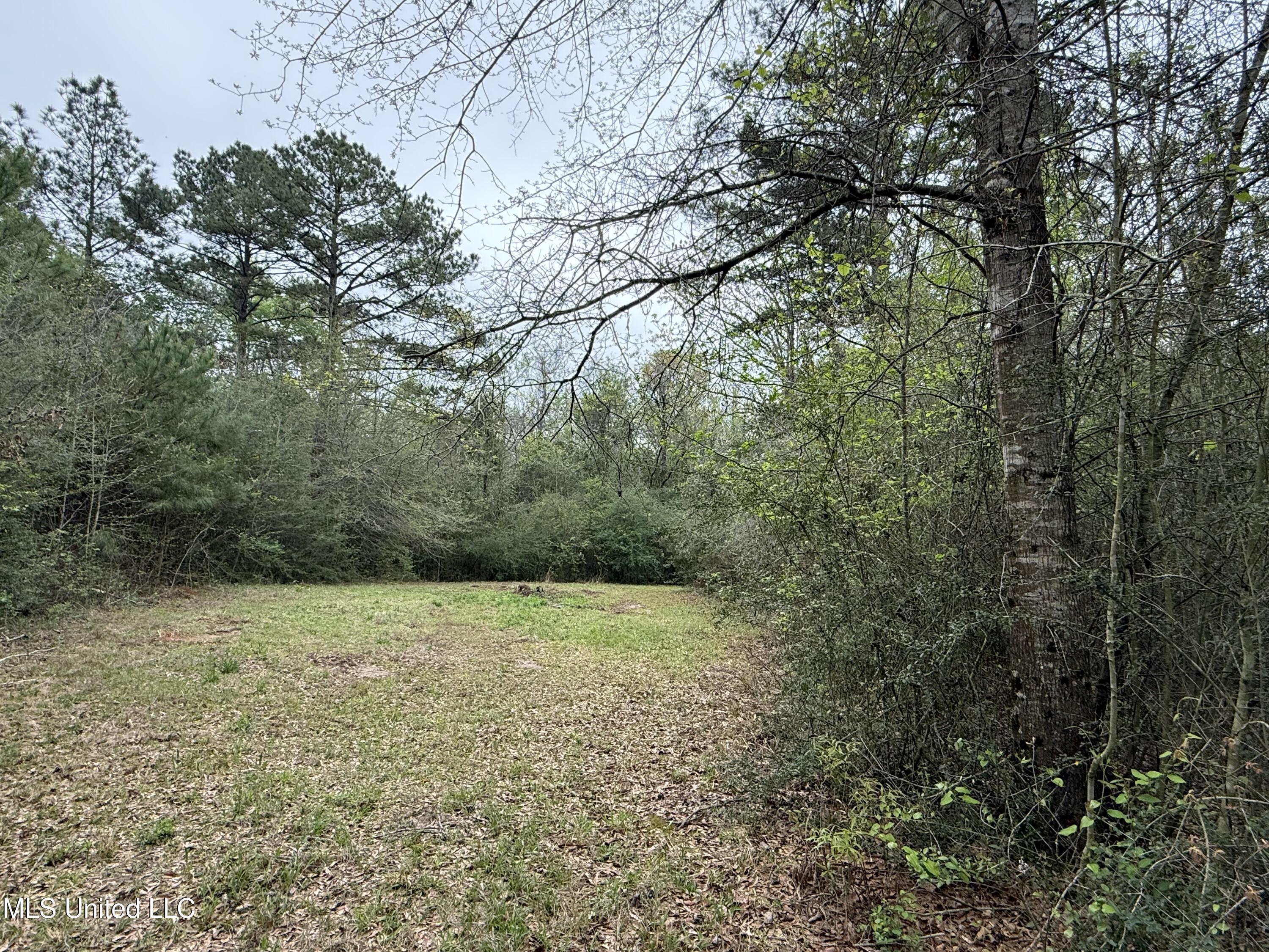 Beartown Road Jayess, MS 39641 - Photo 18 of 32 18.