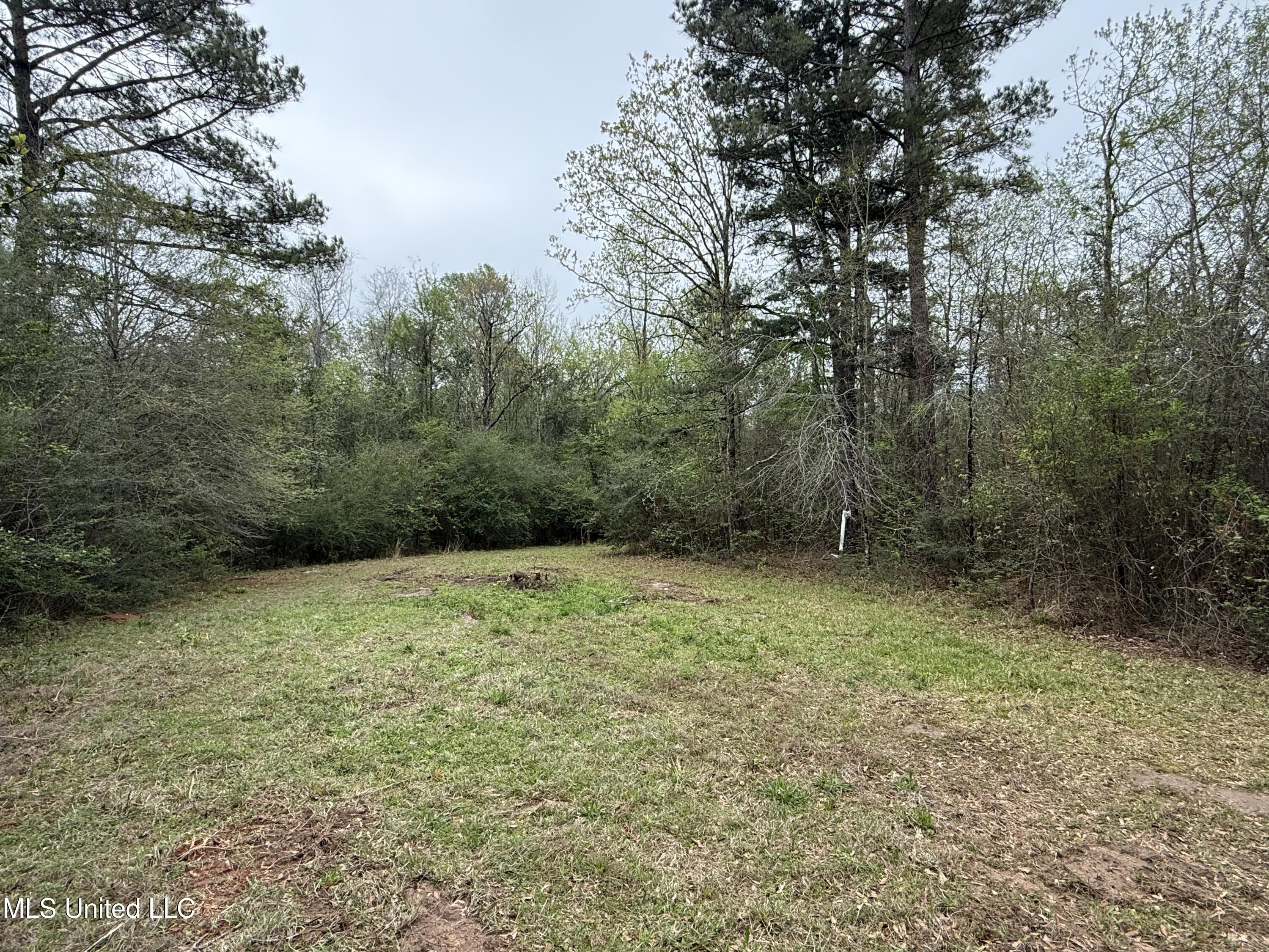 Beartown Road Jayess, MS 39641 - Photo 19 of 32 19.