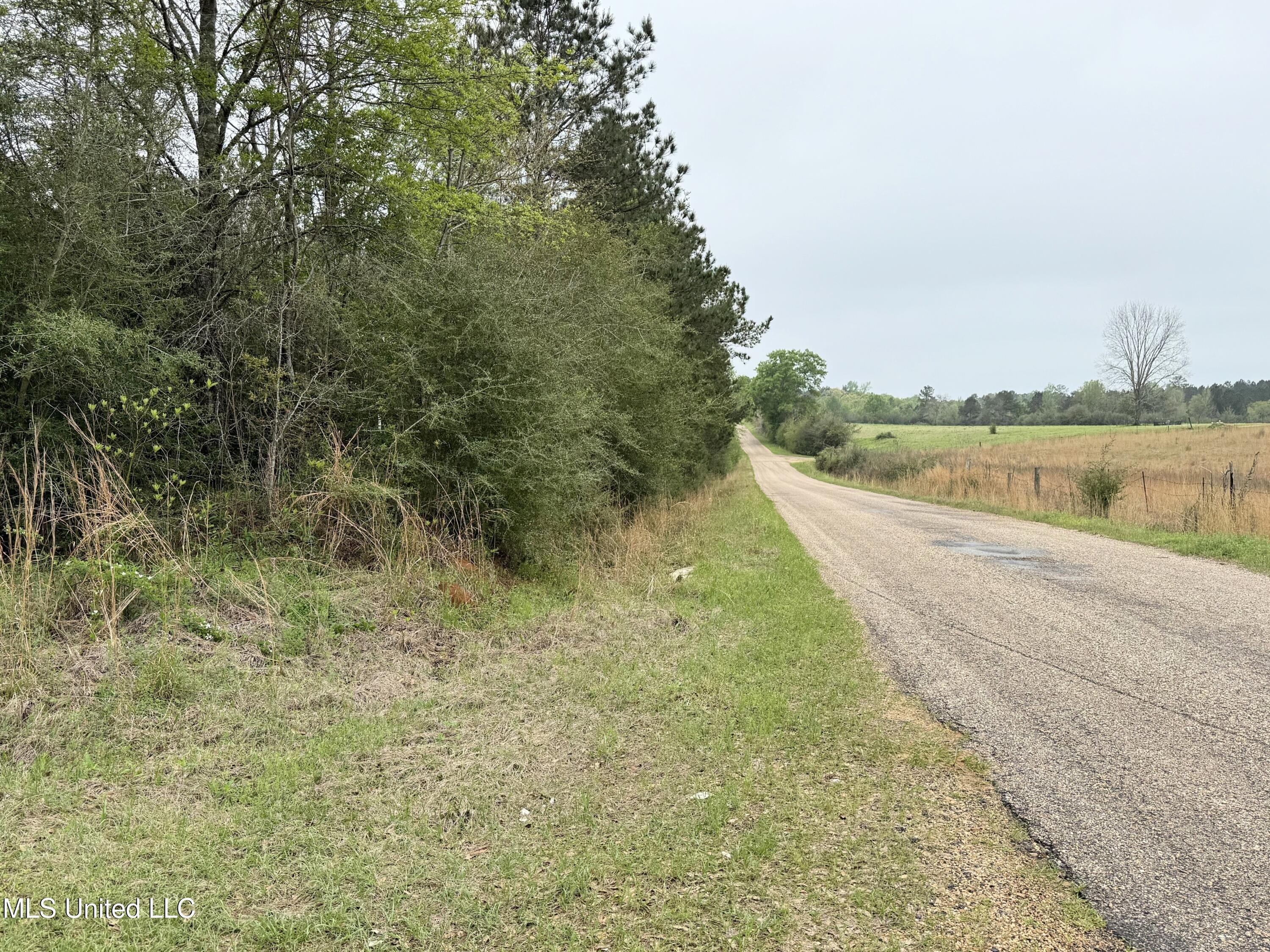 Beartown Road Jayess, MS 39641 - Photo 2 of 32 2.
