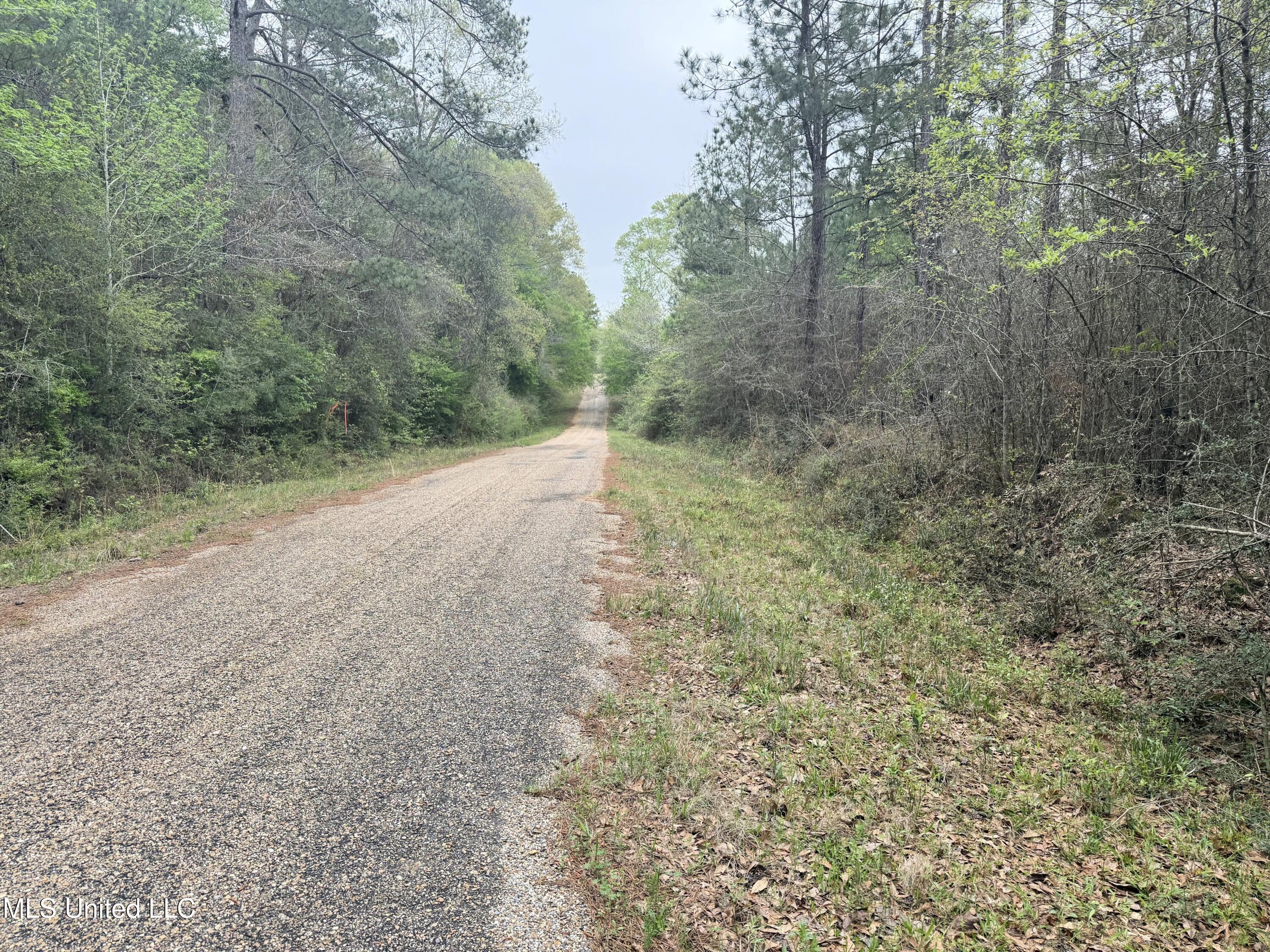 Beartown Road Jayess, MS 39641 - Photo 27 of 32 27.