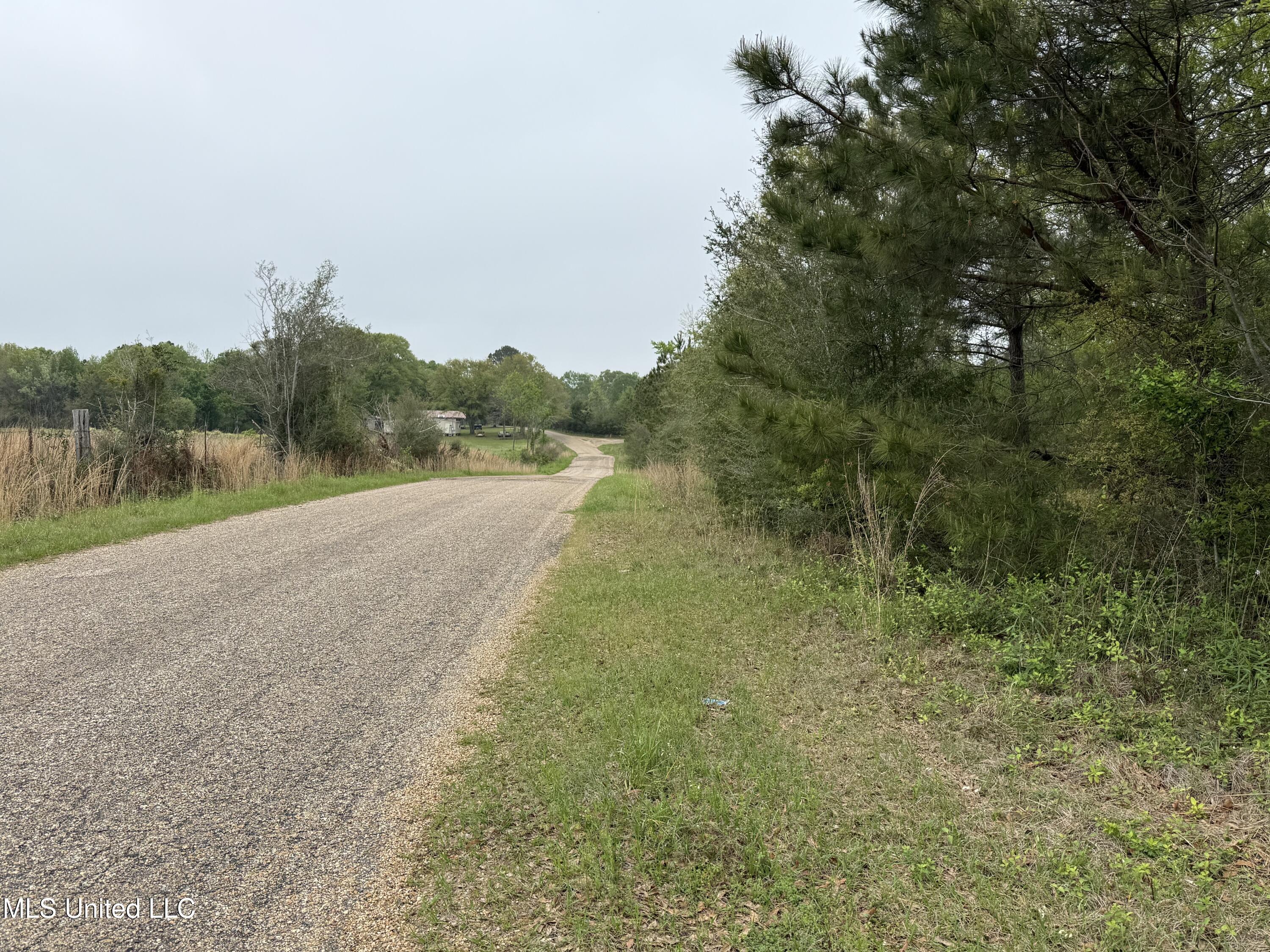 Beartown Road Jayess, MS 39641 - Photo 3 of 32 3.