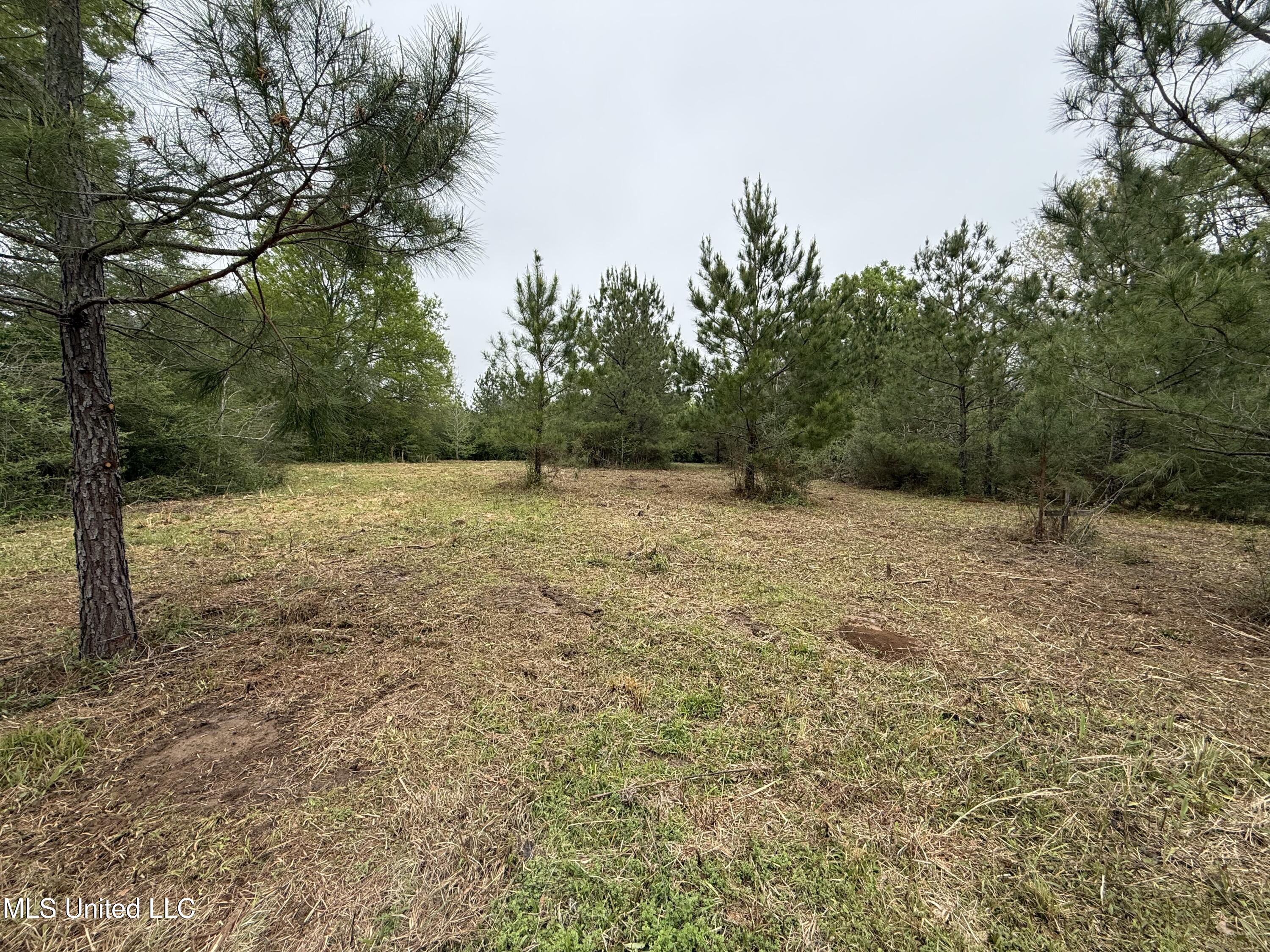 Beartown Road Jayess, MS 39641 - Photo 4 of 32 4.