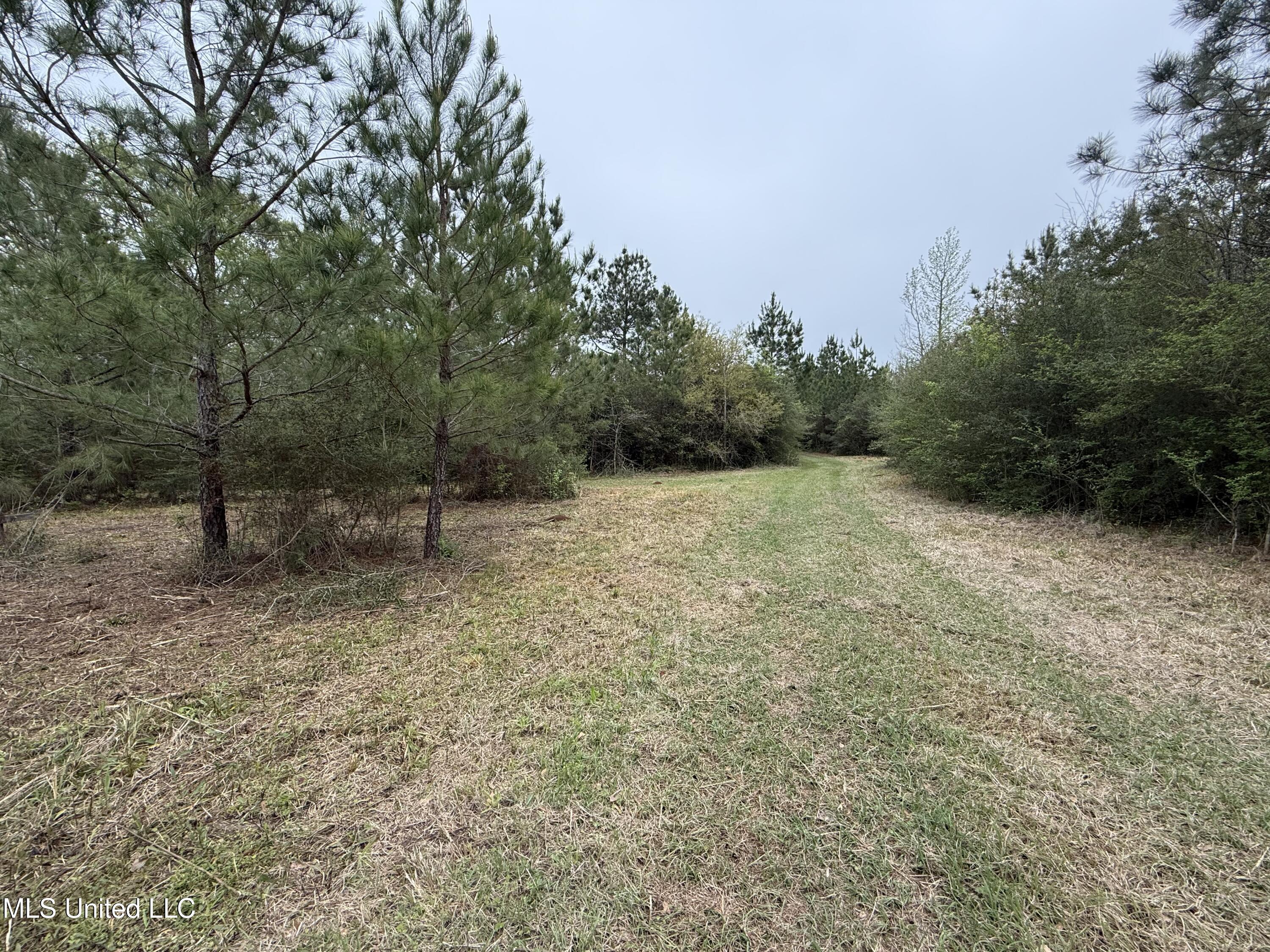 Beartown Road Jayess, MS 39641 - Photo 5 of 32 5.