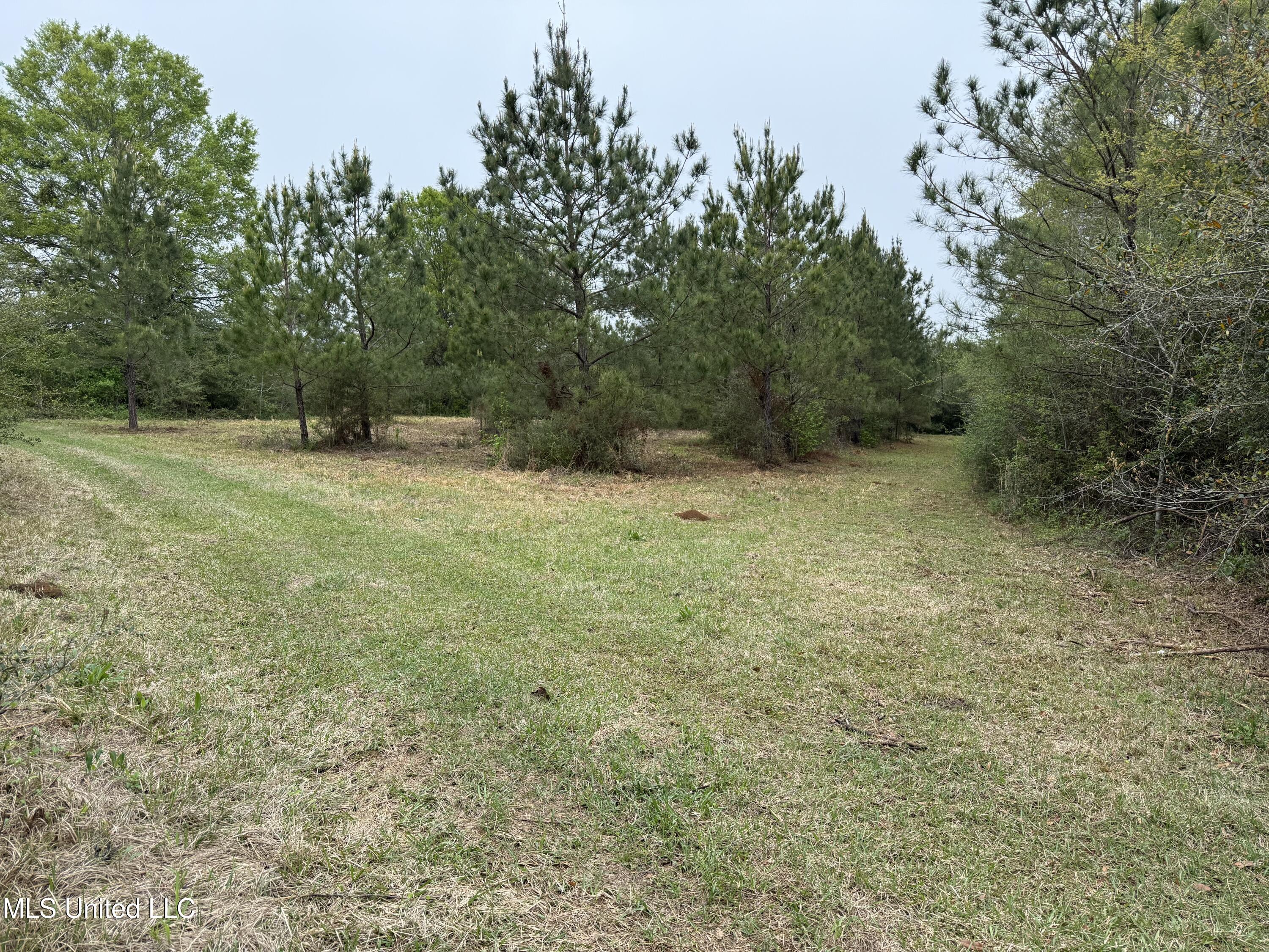 Beartown Road Jayess, MS 39641 - Photo 6 of 32 6.