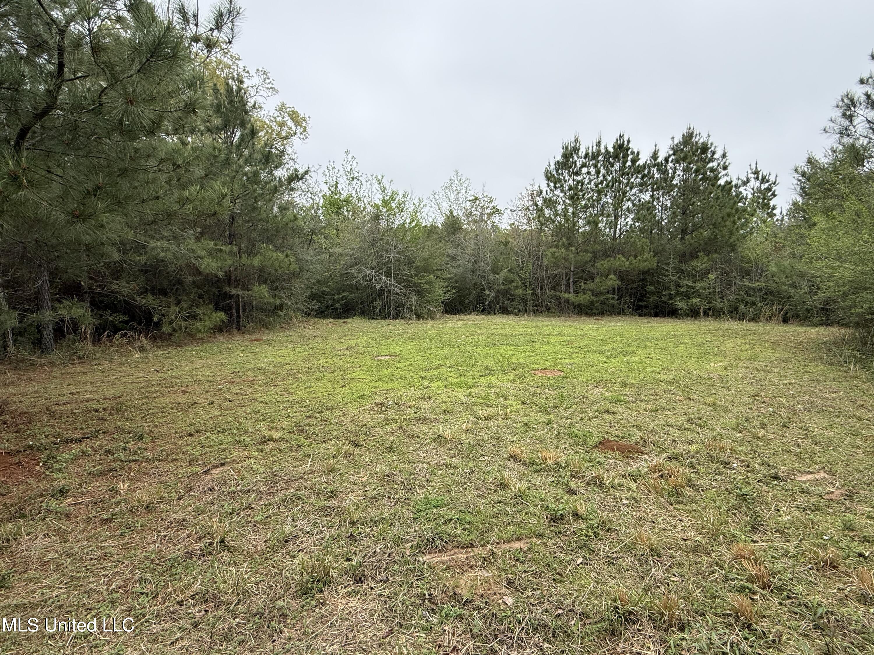 Beartown Road Jayess, MS 39641 - Photo 8 of 32 8.