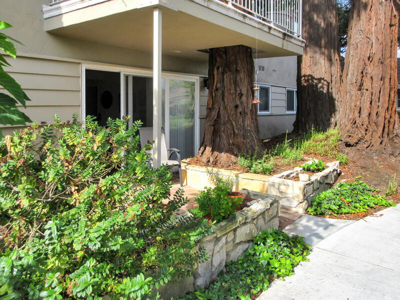 5740 Encina Road, Unit 3 Goleta, CA 93117 - Photo 17 of 29 Back Patio