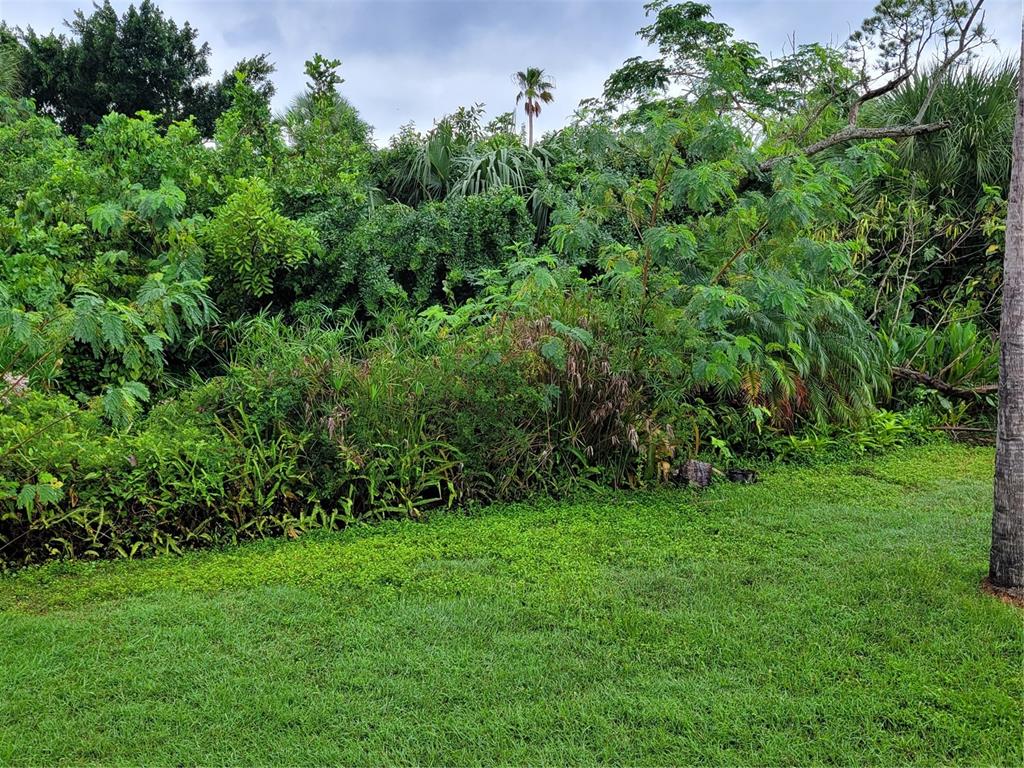 14447 Worthwhile Road Port Charlotte, FL 33953 - Photo 15 of 23 a view of a garden