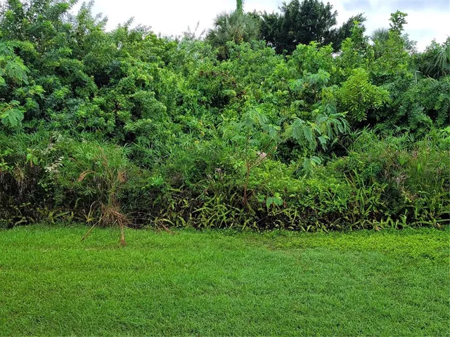 a view of yard with green space