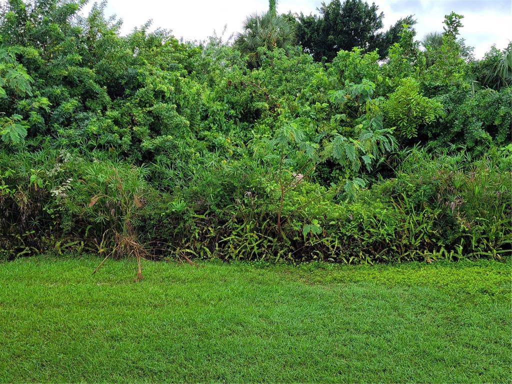 14447 Worthwhile Road Port Charlotte, FL 33953 - Photo 16 of 23 a view of yard with green space