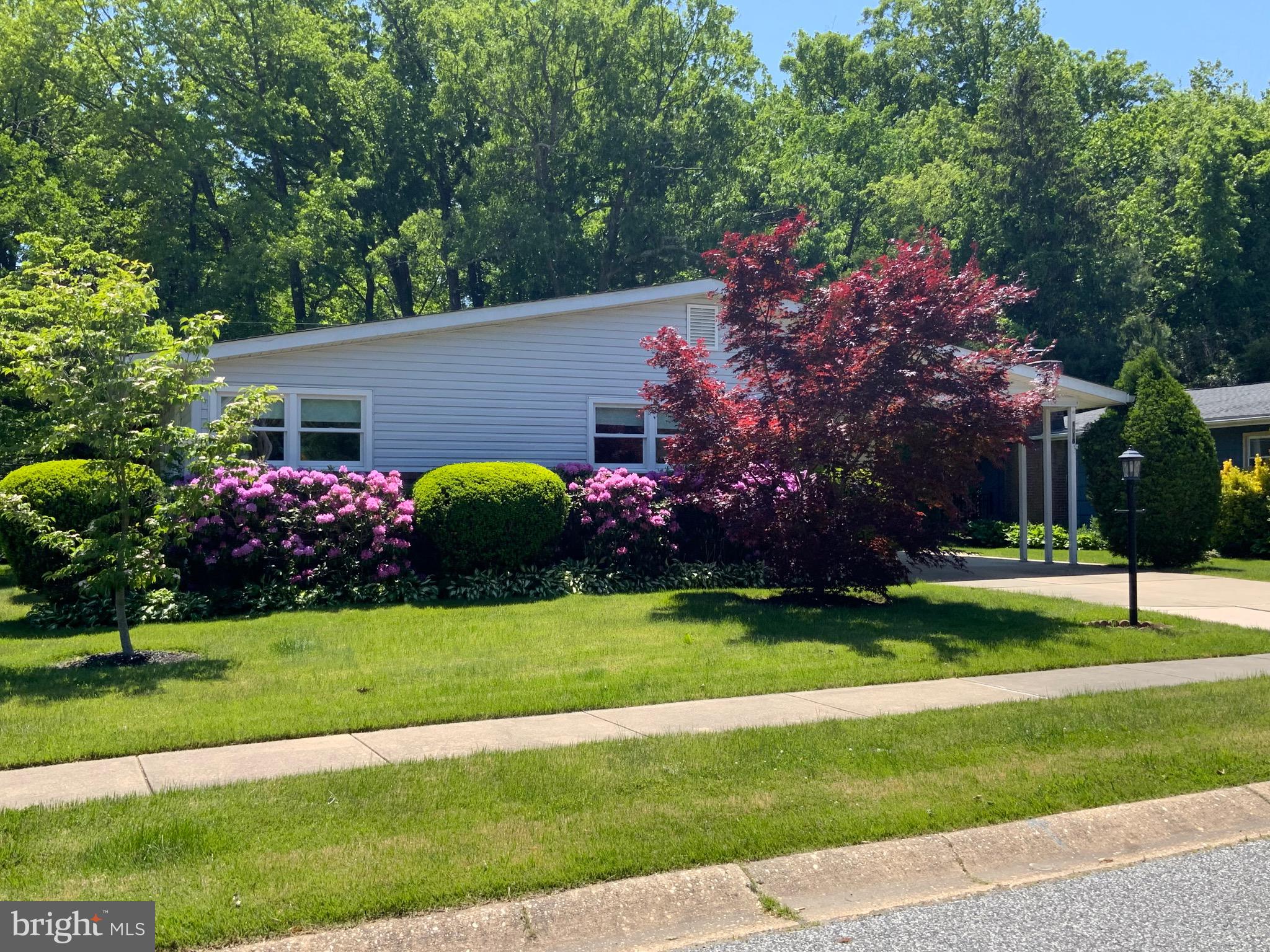 1618 Shady Brook Road Wilmington, DE 19803 - Photo 2 of 45 Front Exterior