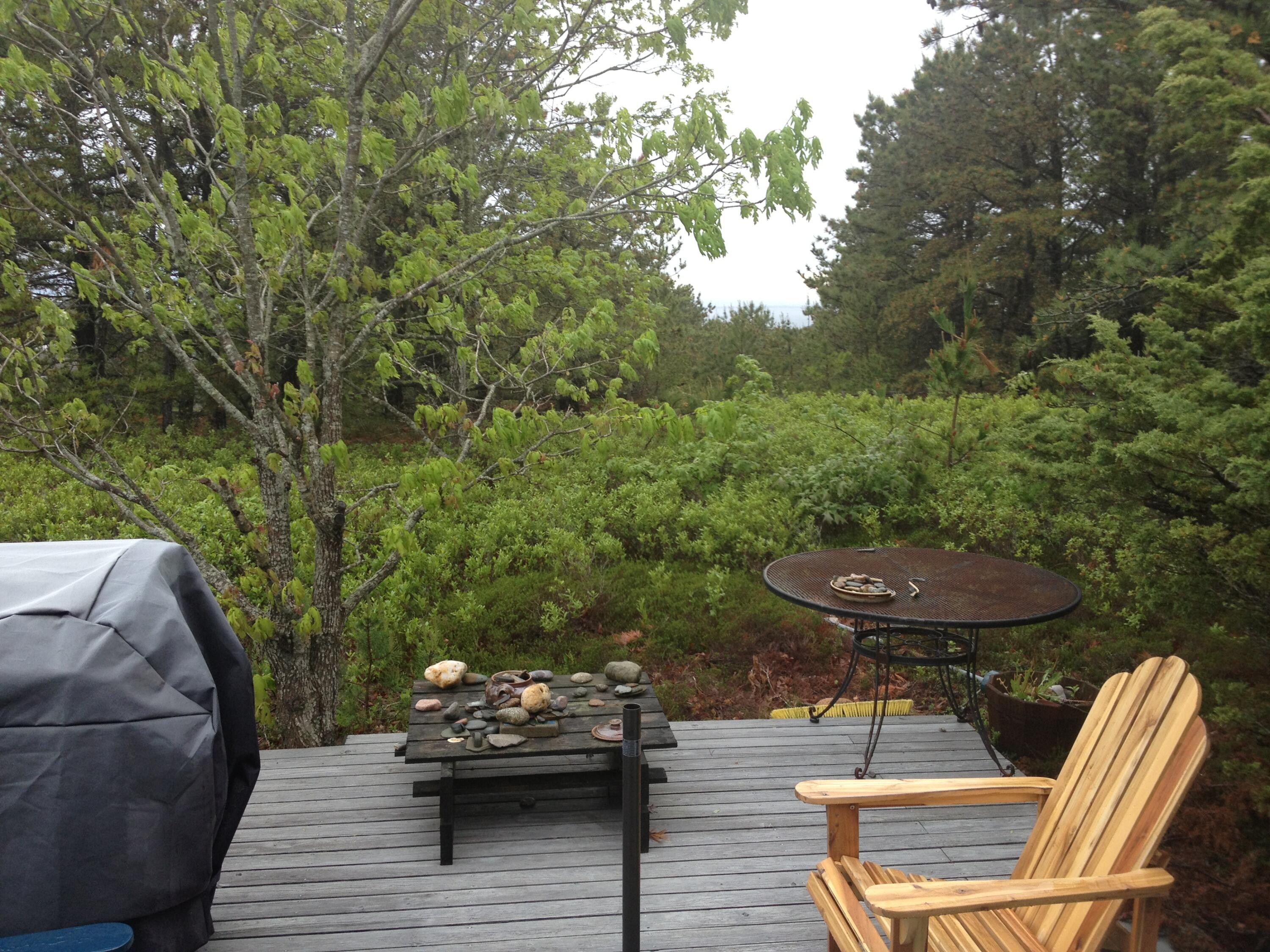 2 Cobb Road Truro, MA 02666 - Photo 29 of 38 a view of a table and chairs in patio