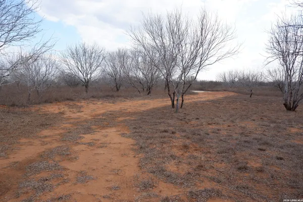 $179,999 | 8846 Farm To Market Road 140, Charlotte, TX 78011