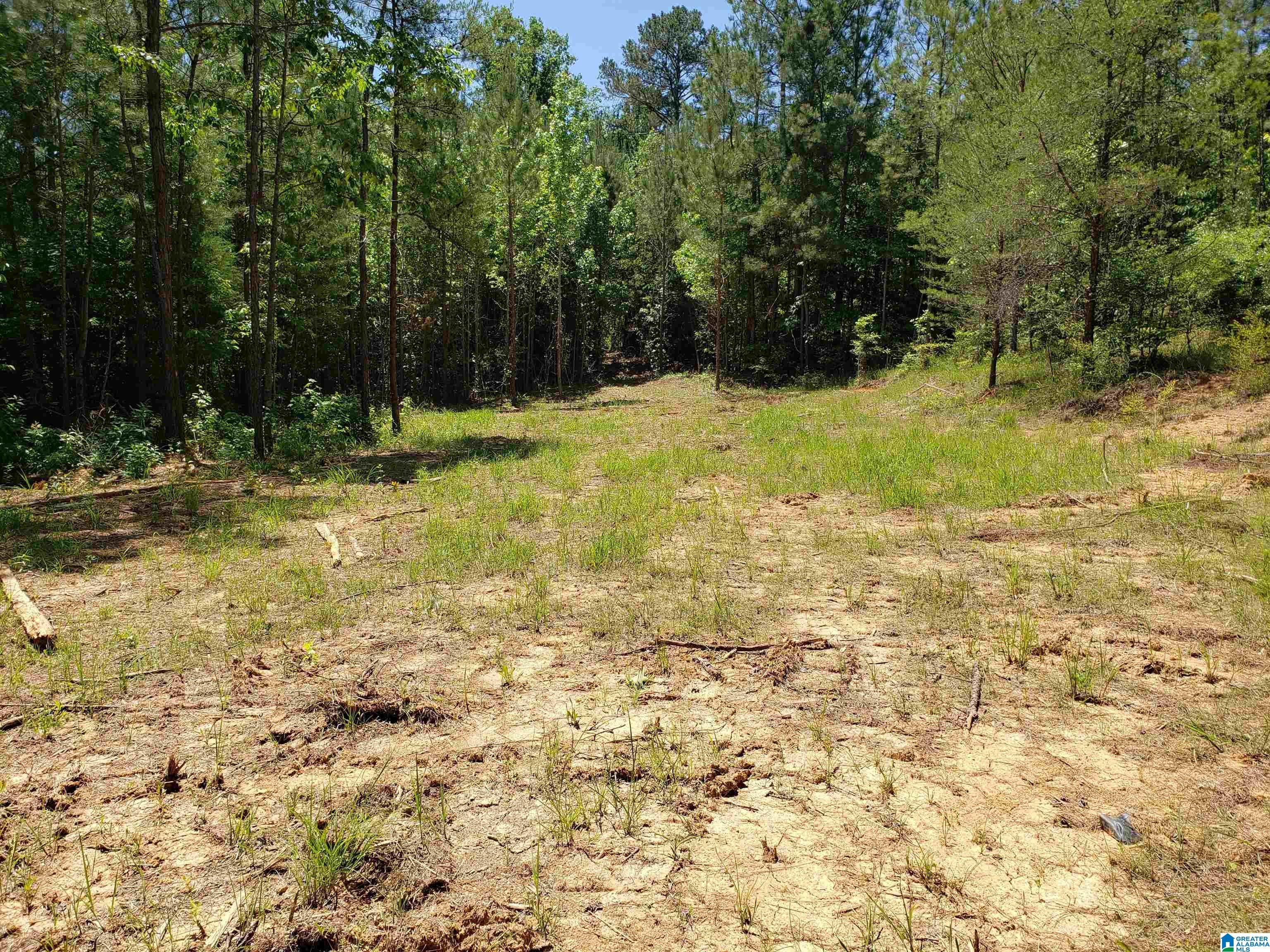 0 Clements Road, Unit 1 Cottondale, AL 35453 - Photo 1 of 16