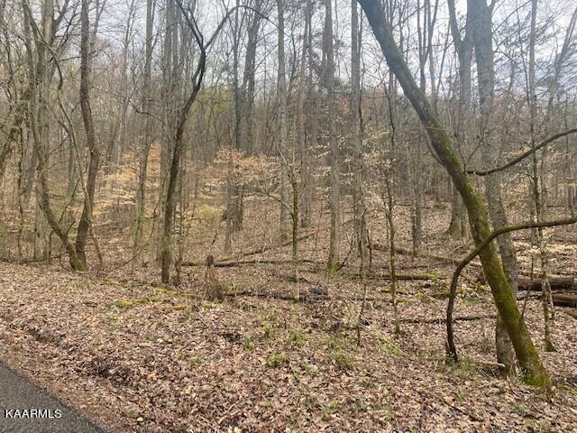 Dug Ridge Road Kingston, TN 37763 - Photo 1 of 2 Dug Ridge