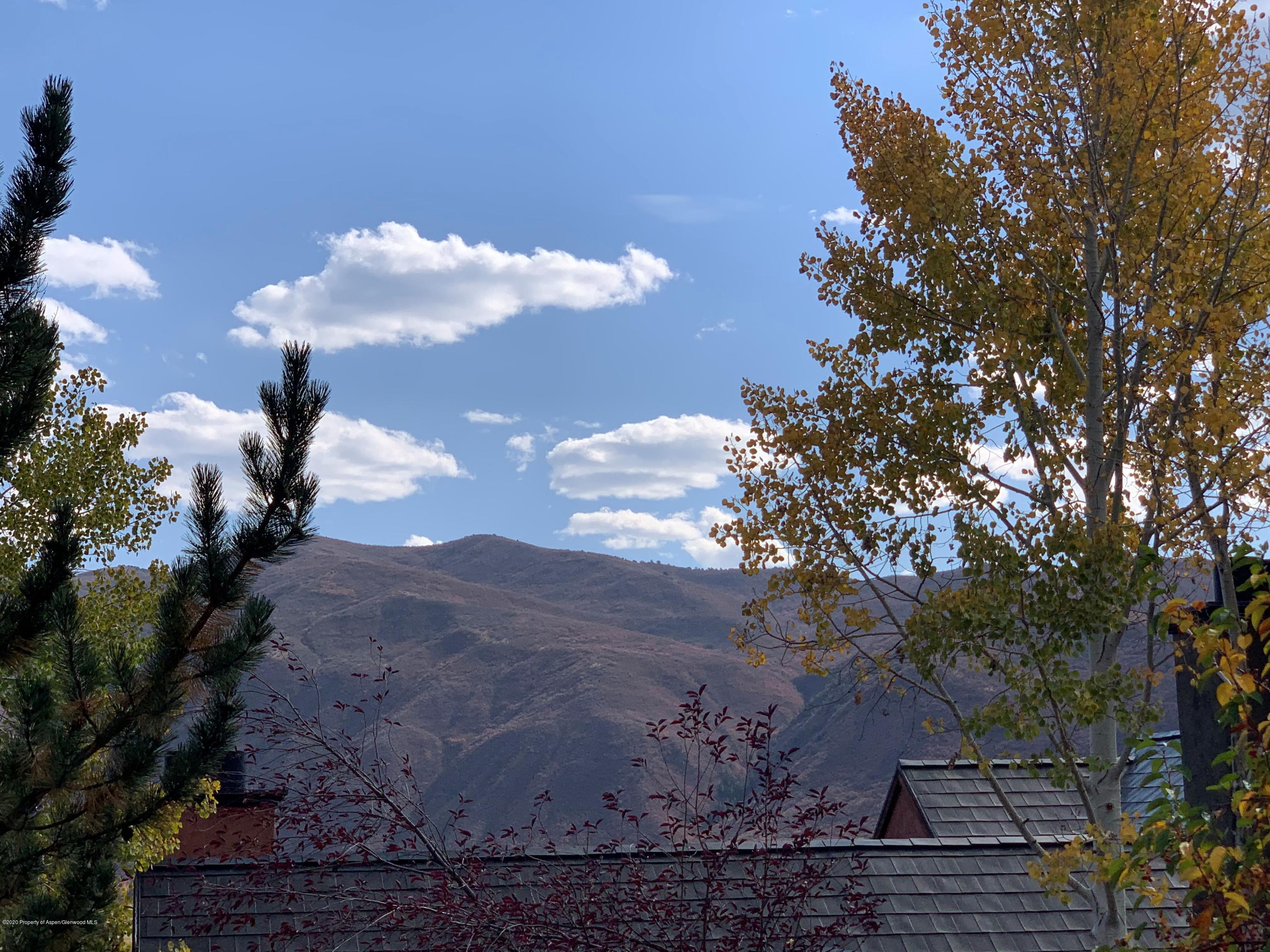 207 Wild Spring Lane Basalt, CO 81621 - Photo 11 of 12 mountain mountain