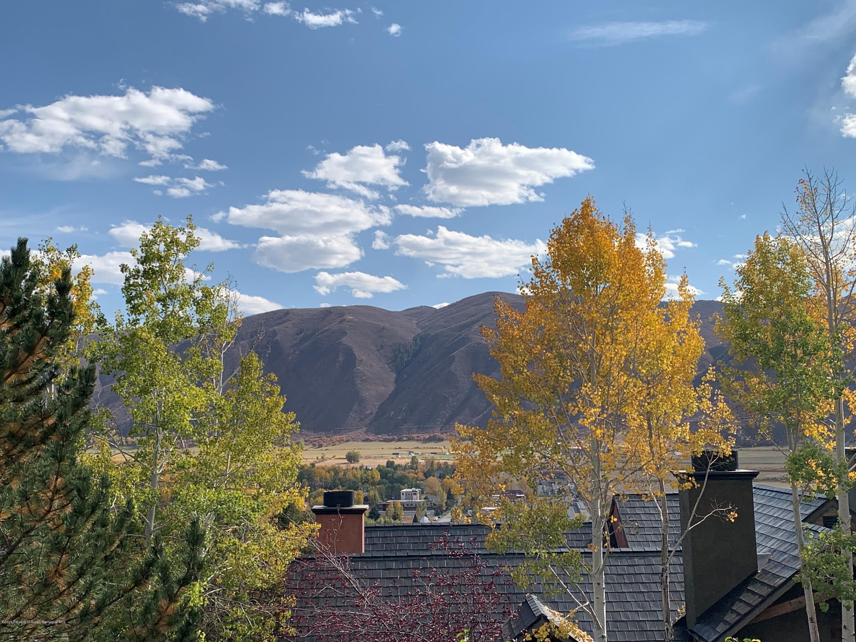 207 Wild Spring Lane Basalt, CO 81621 - Photo 12 of 12 house mountain tree