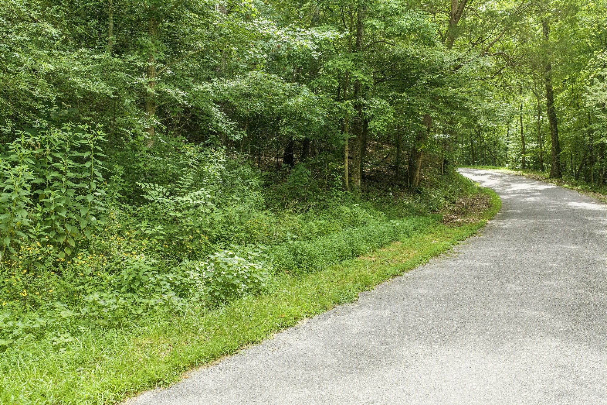 0 Utley Road Camden, TN 38320 - Photo 22 of 31 Gallery Image 22