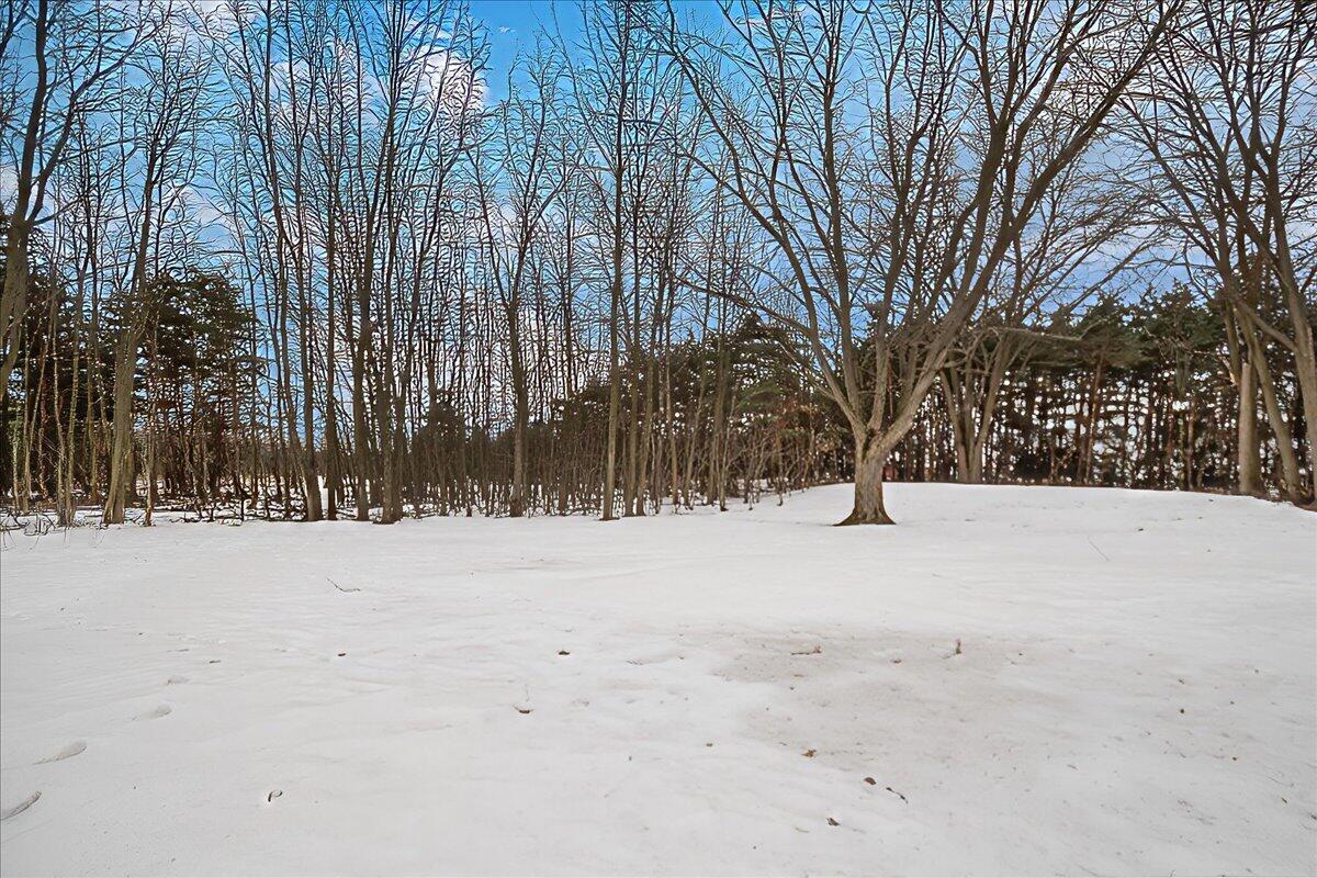 9941 Heights Ravenna Road Ravenna, MI 49451 - Photo 23 of 29 23-DSC_1134-sharpen