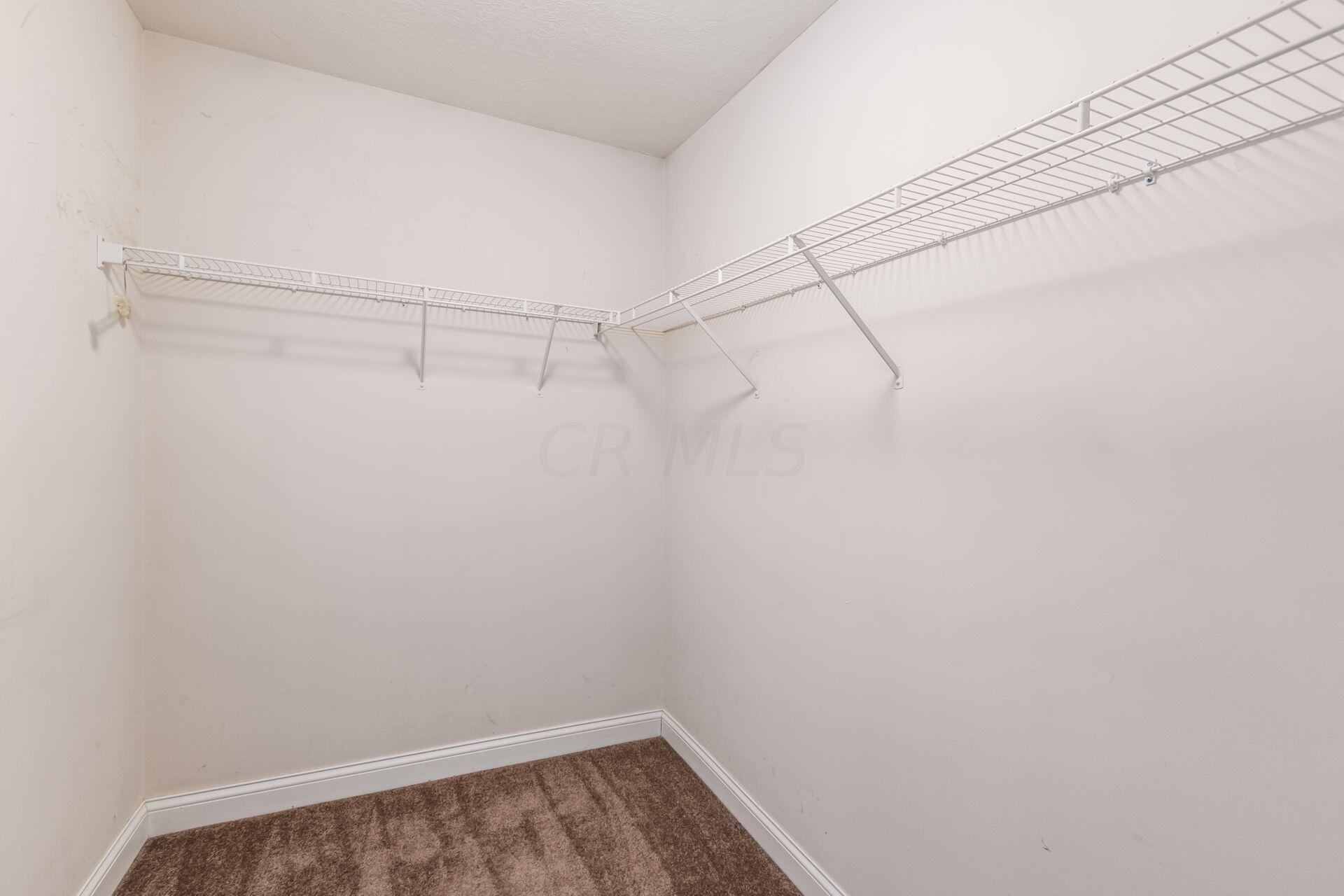 4896 Rays Circle Dublin, OH 43016 - Photo 25 of 45 Walk in Closet