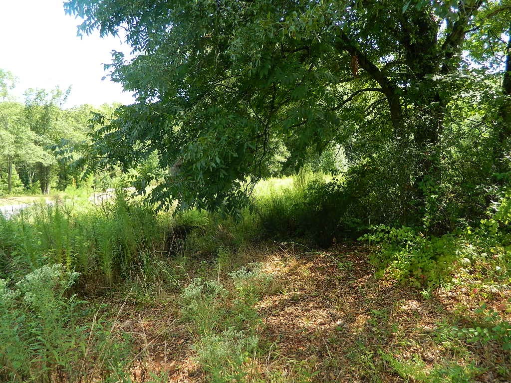 634 Airline Road Anderson, SC 29624 - Photo 32 of 41