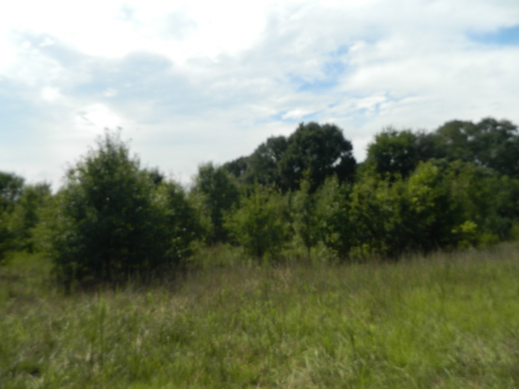 634 Airline Road Anderson, SC 29624 - Photo 37 of 41