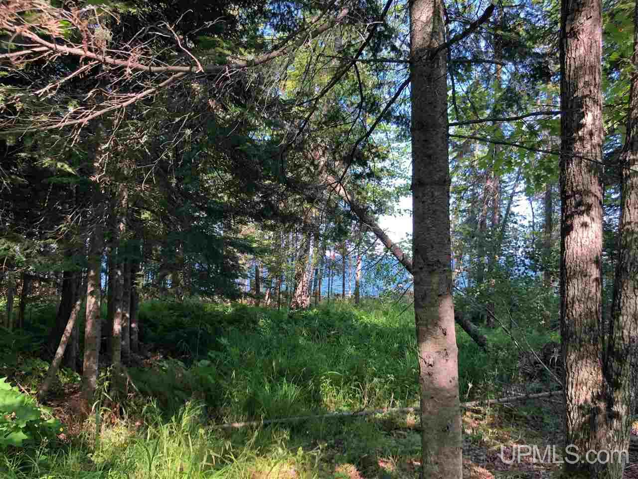 Tbd Jacob Lane Baraga, MI 49908 - Photo 15 of 21