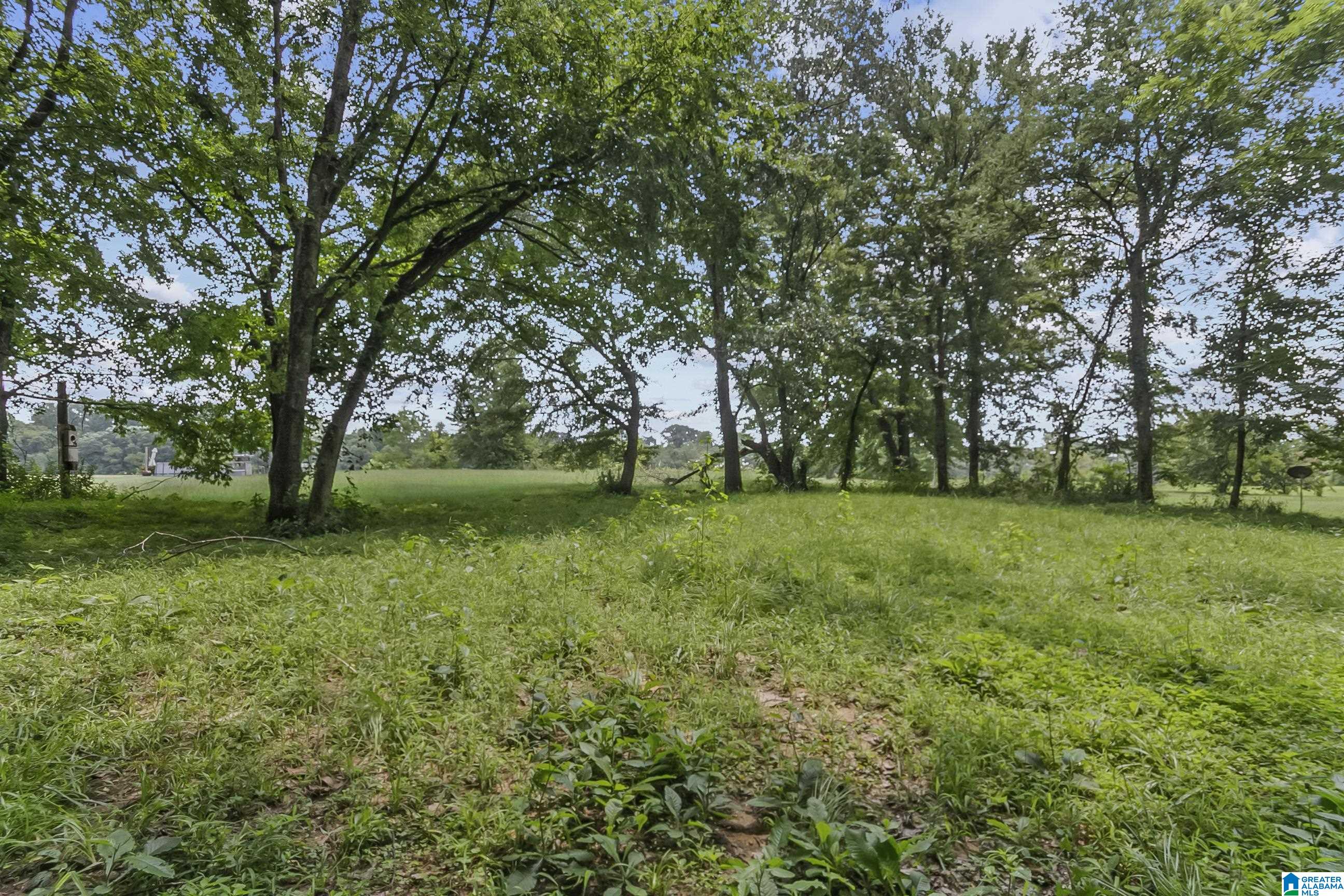 13615 Riverbend Road Moundville, AL 35474 - Photo 12 of 33