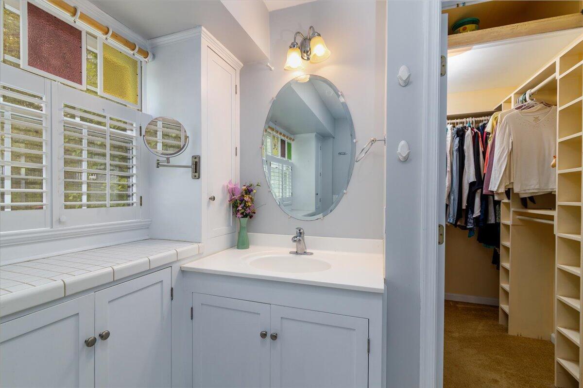 264 Pine Knob Circle Moneta, VA 24121 - Photo 29 of 67 a bathroom with a sink a vanity and a mirror