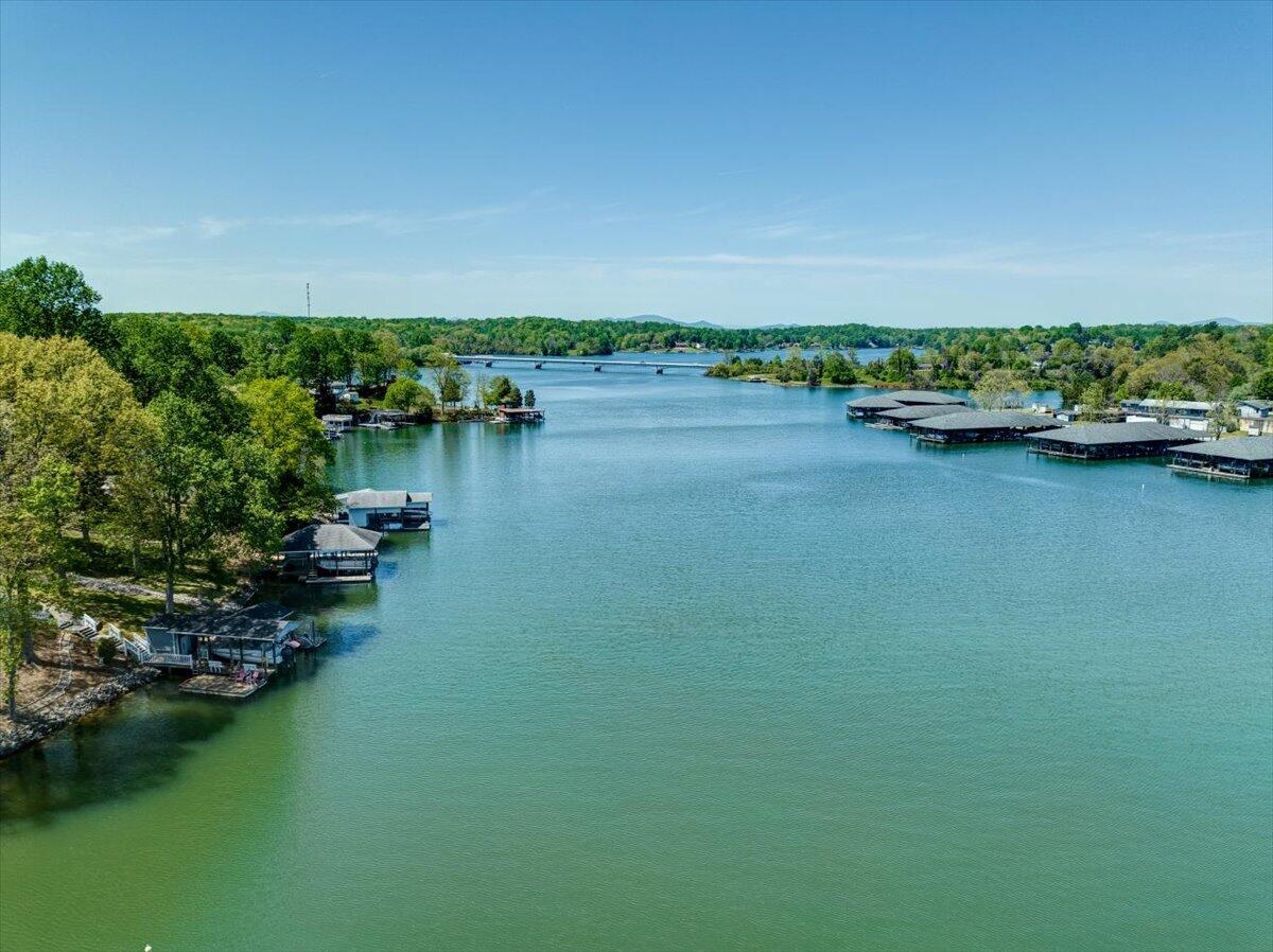 264 Pine Knob Circle Moneta, VA 24121 - Photo 64 of 67 79-77-264 Pine Knob Circle-Drones--24