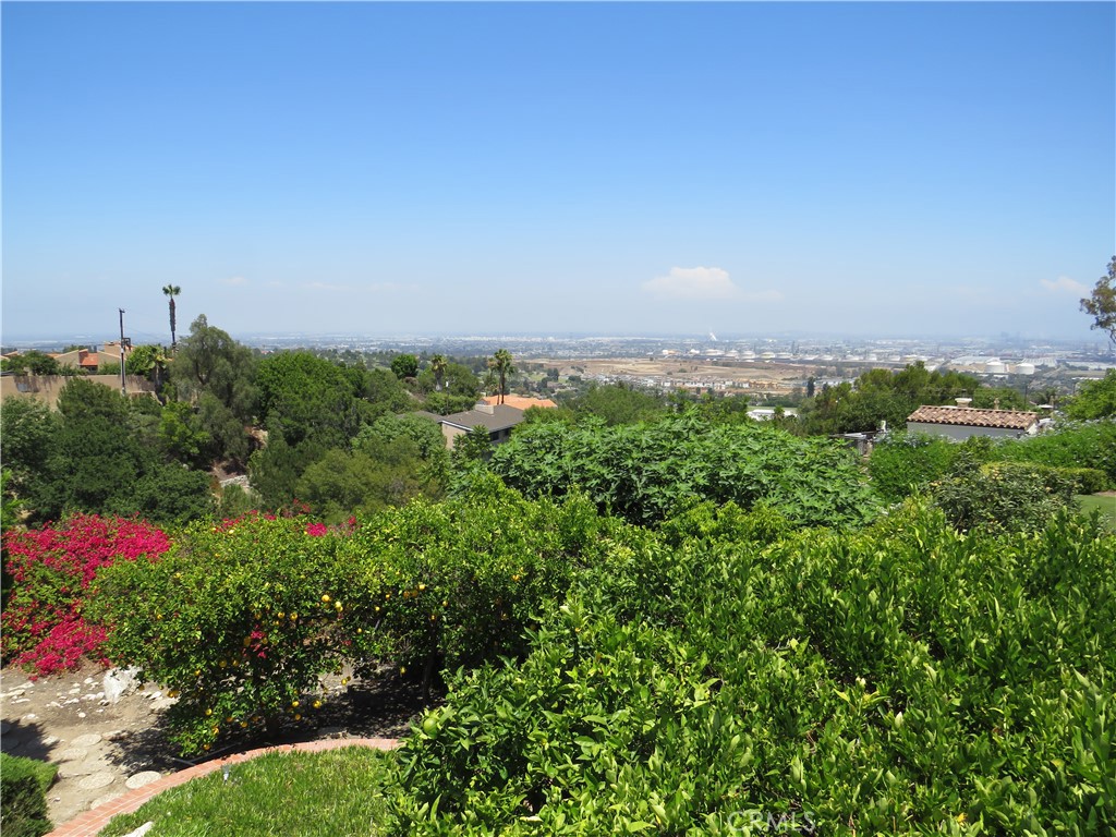 2507 Sunnyside Ridge Road Rancho Palos Verdes, CA 90275 - Photo 9 of 28 Gallery Image 9