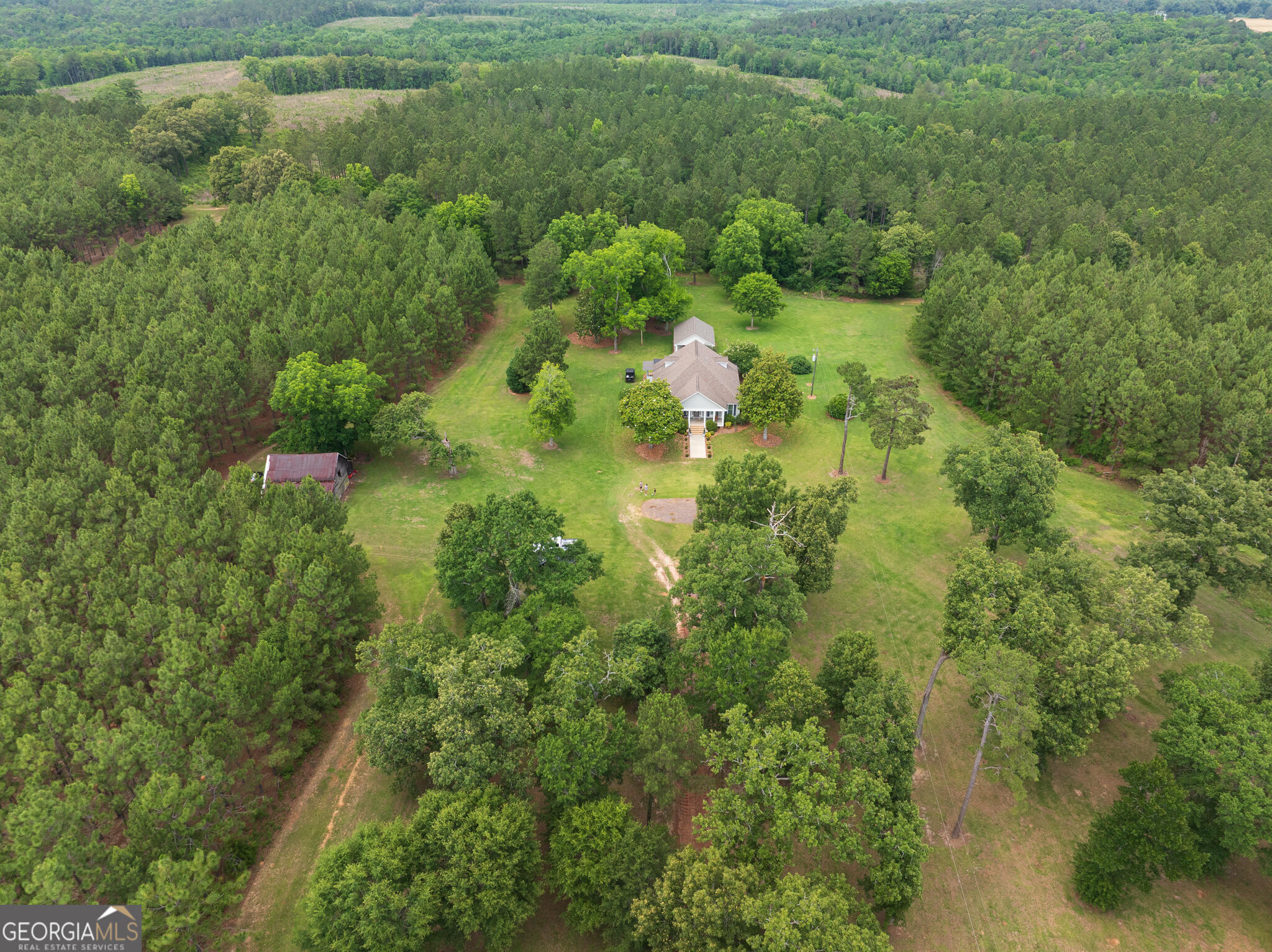 1859 Upper River Road Americus, GA 31709 - Photo 43 of 47 a view of a lush green forest with lots of trees