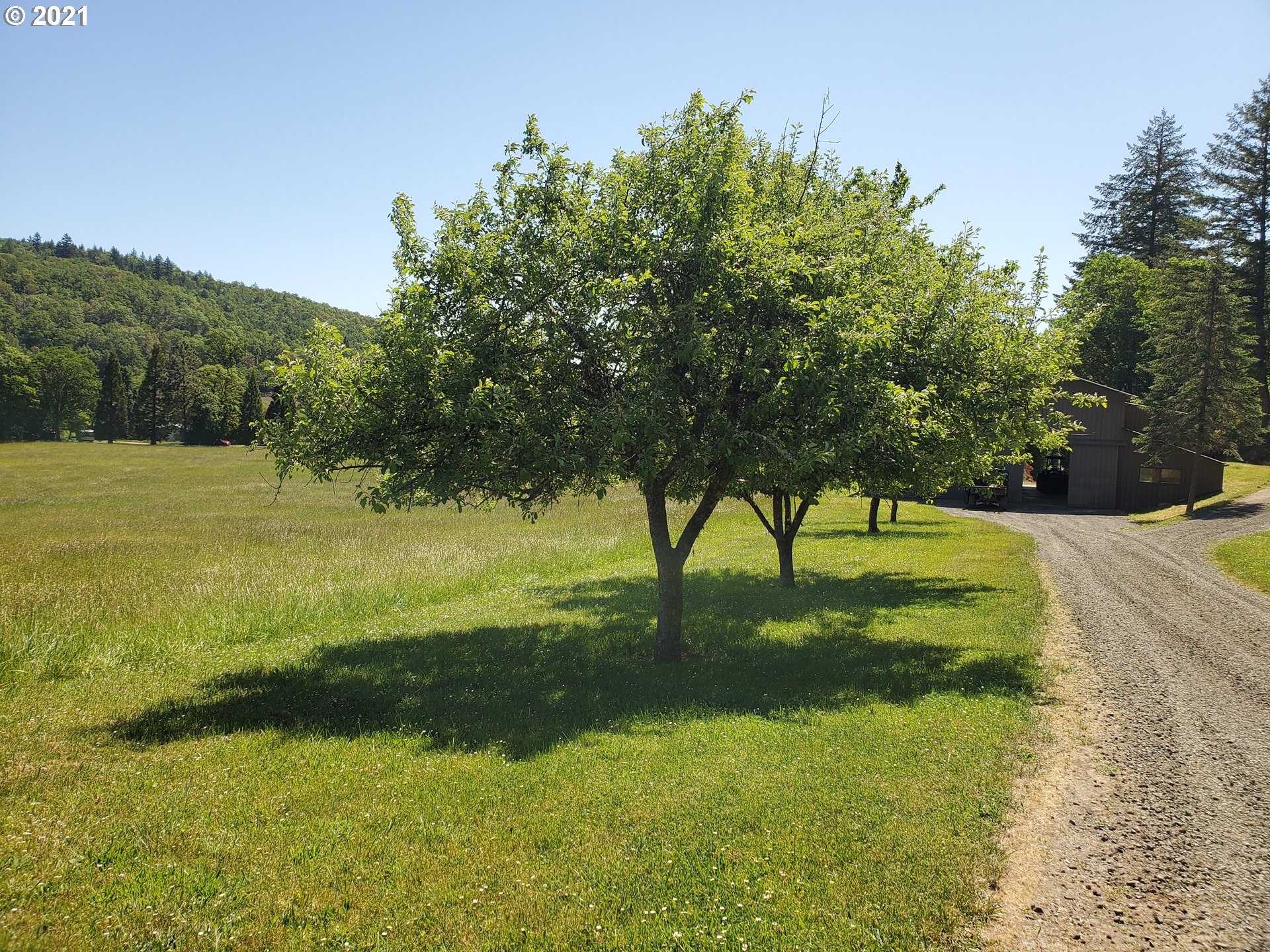 1700 Cole Road Oakland, OR 97462 - Photo 28 of 32 Gallery Image 28