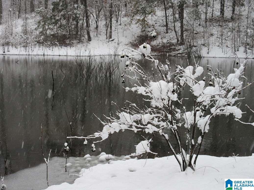 1956 Camp Brownie Road Sylacauga, AL 35151 - Photo 12 of 32