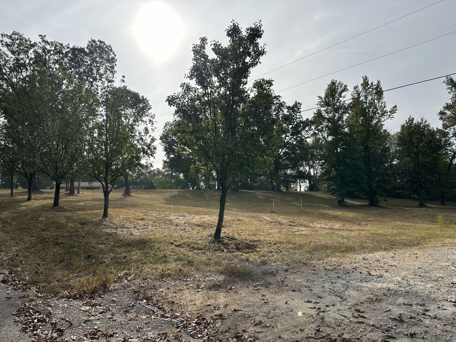 75 David Box Road Darden, TN 38328 - Photo 7 of 10 a backyard of a house with lots of green space