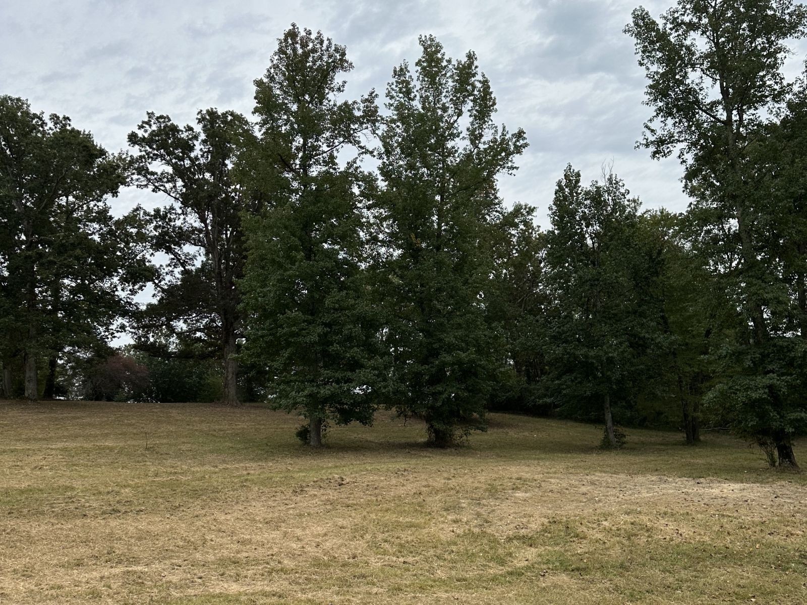 75 David Box Road Darden, TN 38328 - Photo 10 of 10 a view of a garden