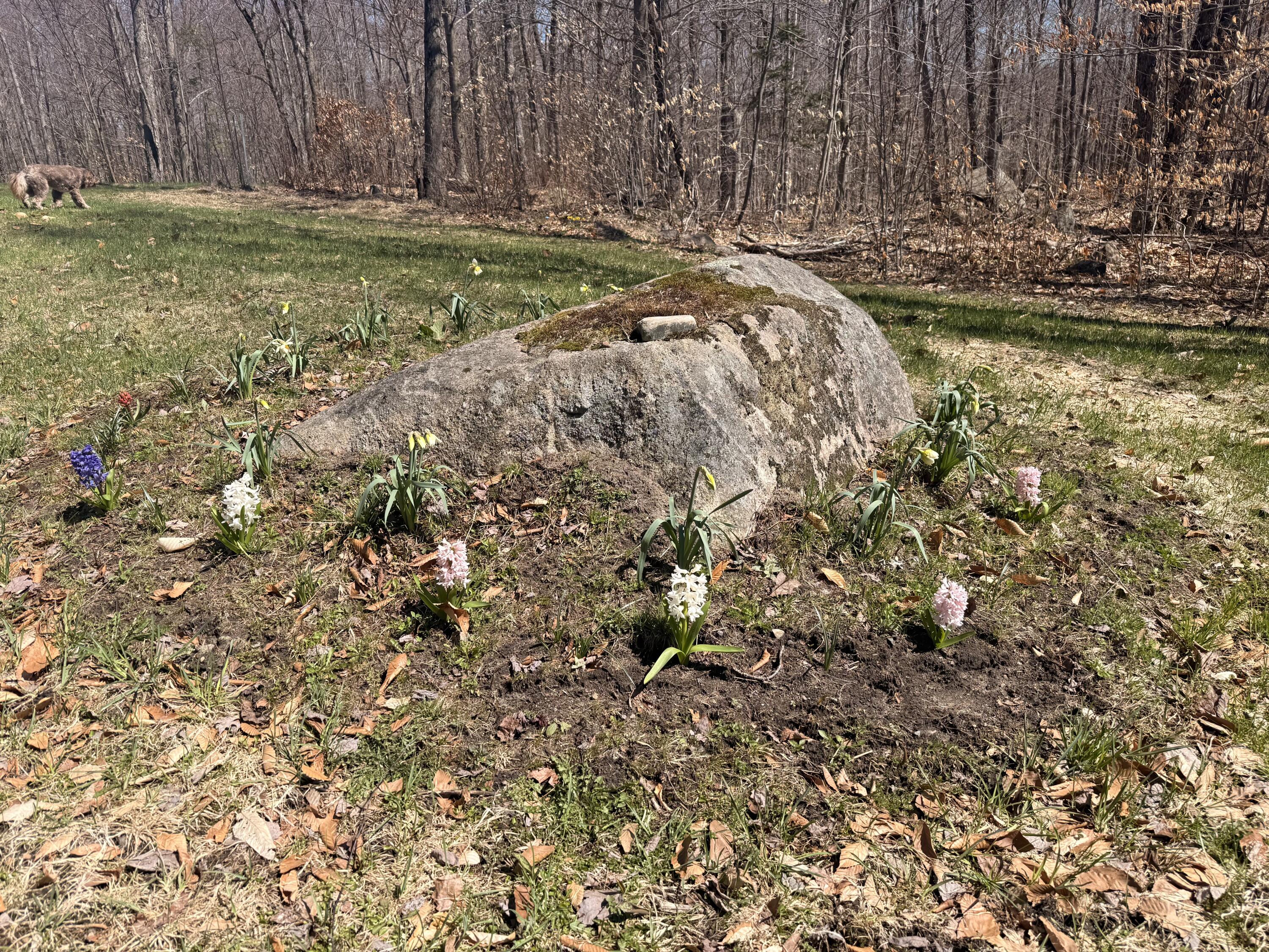 58 Hewitt Road St. Regis Falls, NY 12980 - Photo 99 of 126