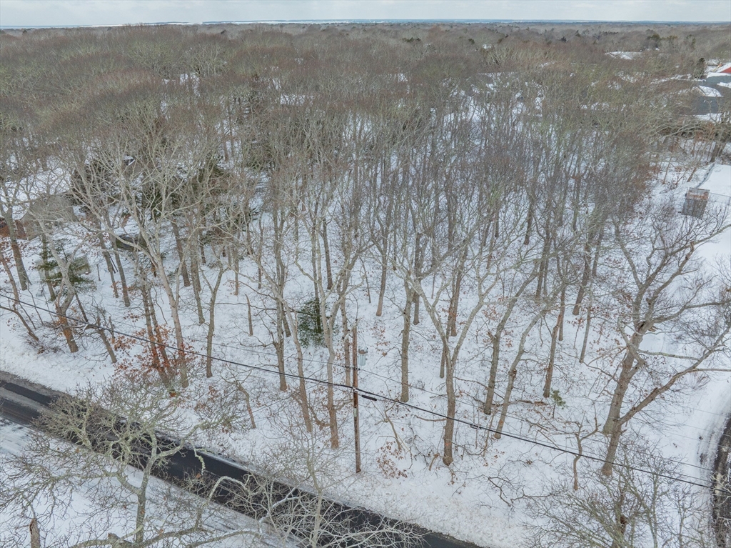 20 Oak Road Eastham, MA 02642 - Photo 4 of 5